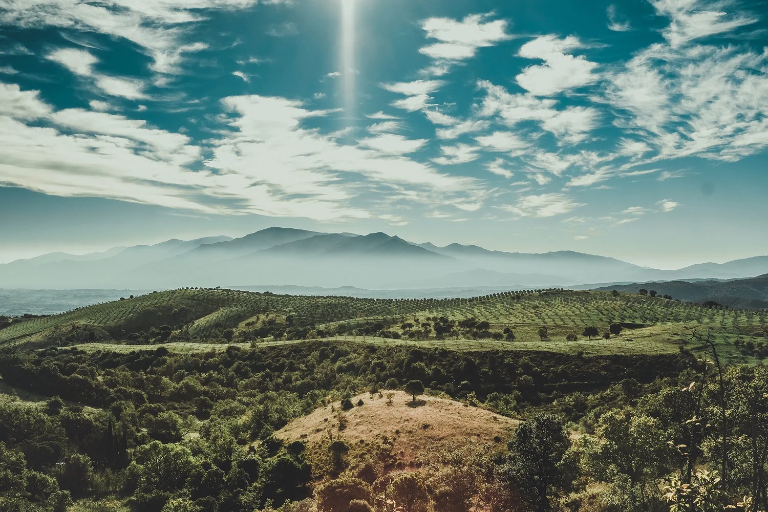 Domaine Madrona Your stay begins here