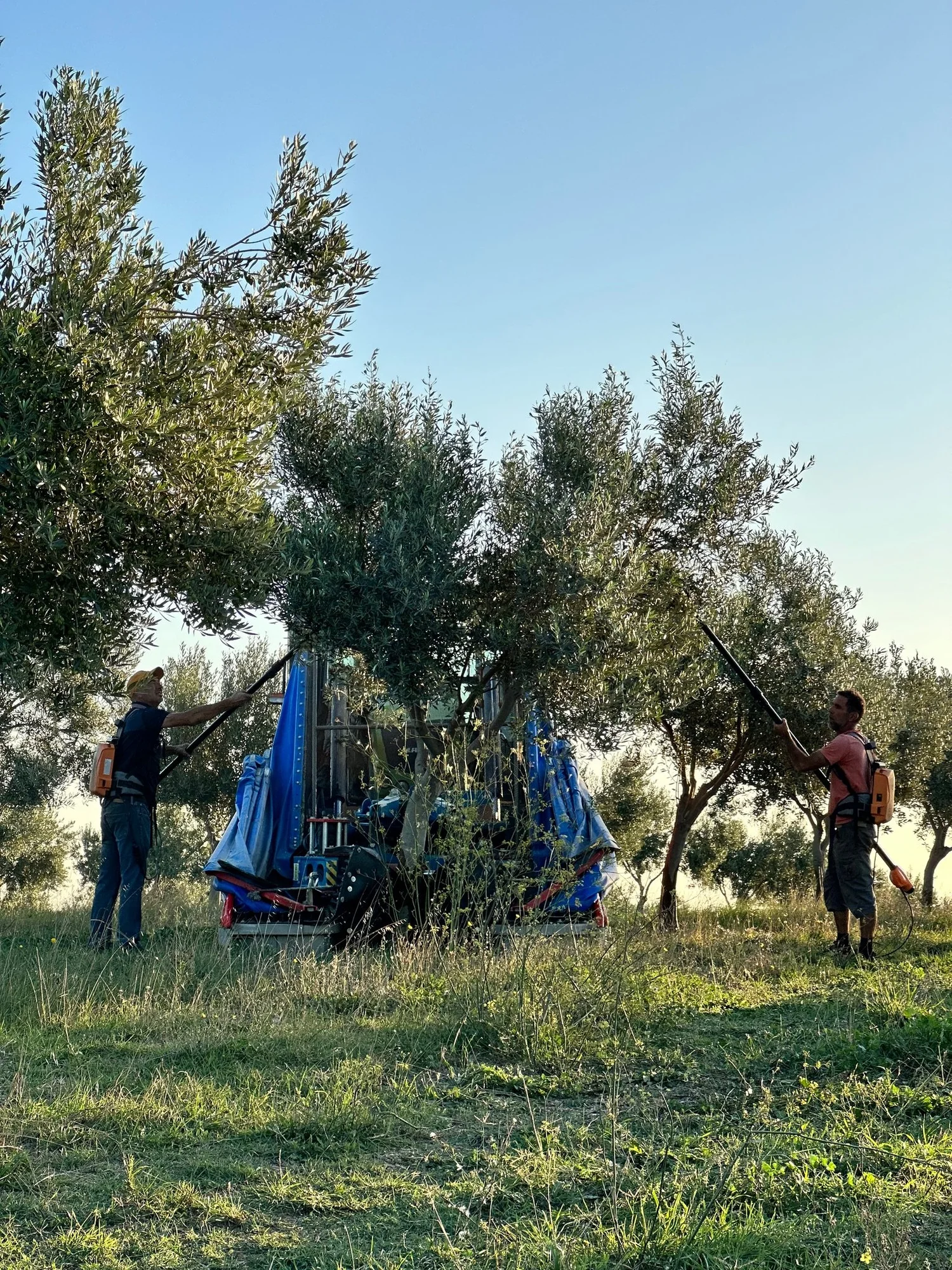 Working with the seasons at Querubi