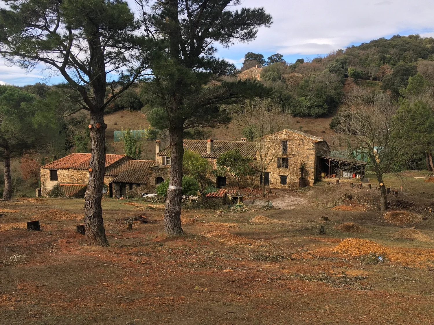 A place worth sharing at Domaine Madrona