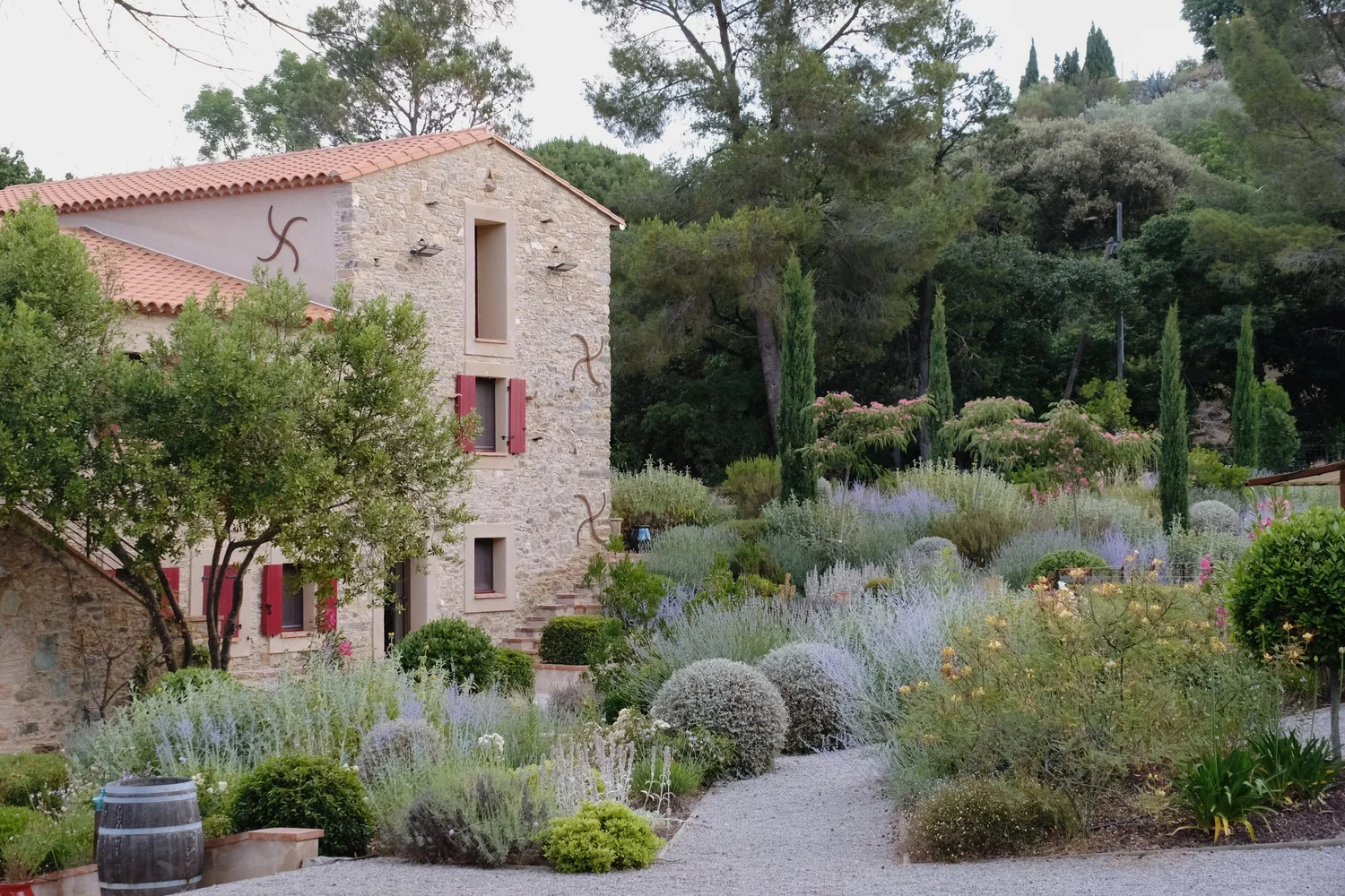 Mediterranean gardens at or near Domaine Madrona