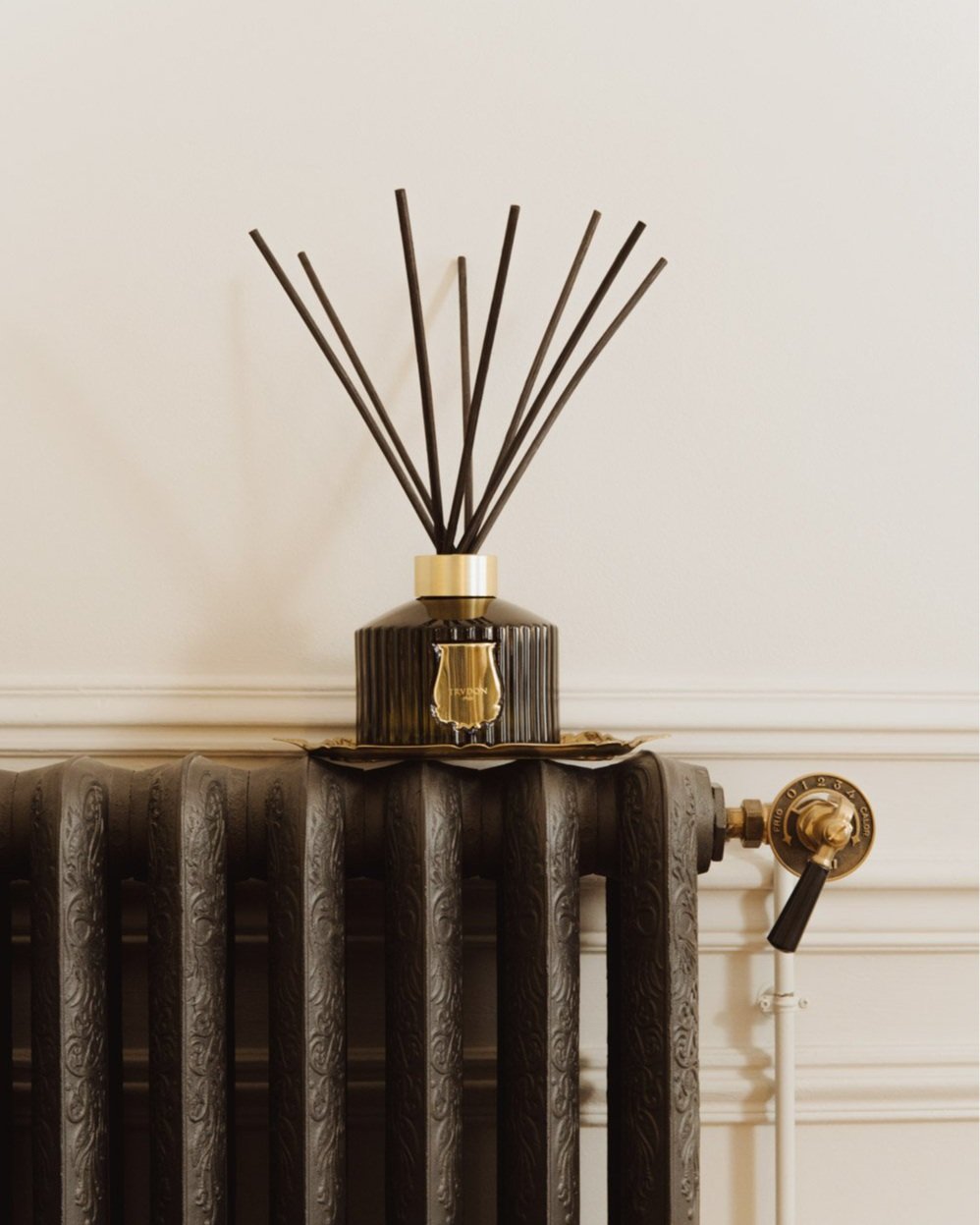 Trudon_Great+Diffuser.jpg