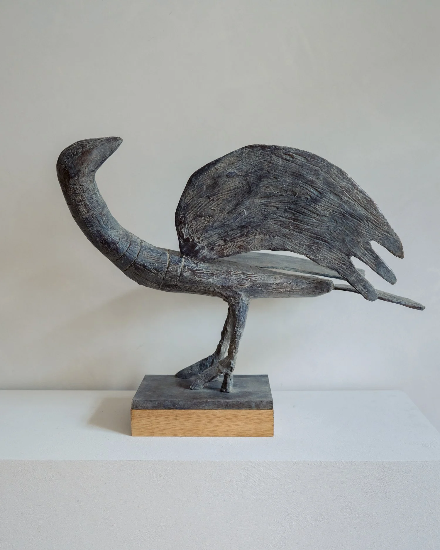 Shore Bird by Christopher Marvell