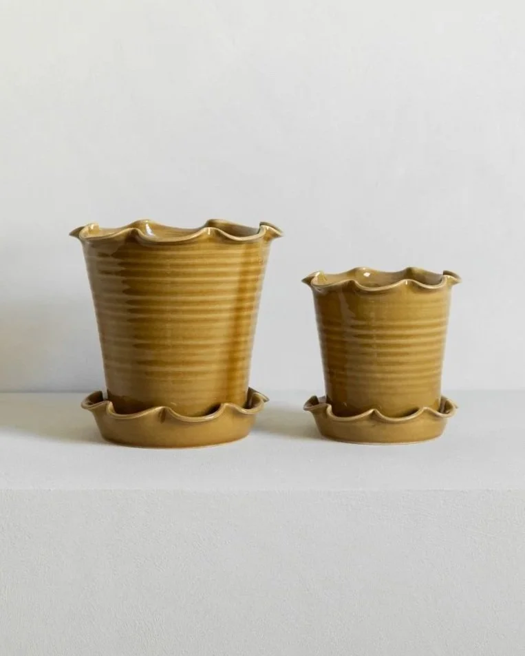 Frilled Stoneware Pot with Saucer in Honey Glaze by Paige Mitchell - 2 sizes