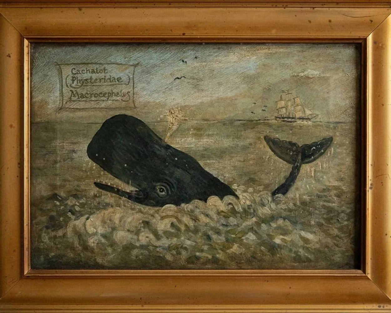 Nai%CC%88ve+Painting+of+a+Sperm+Whale%2C+19th+Century-2.jpg