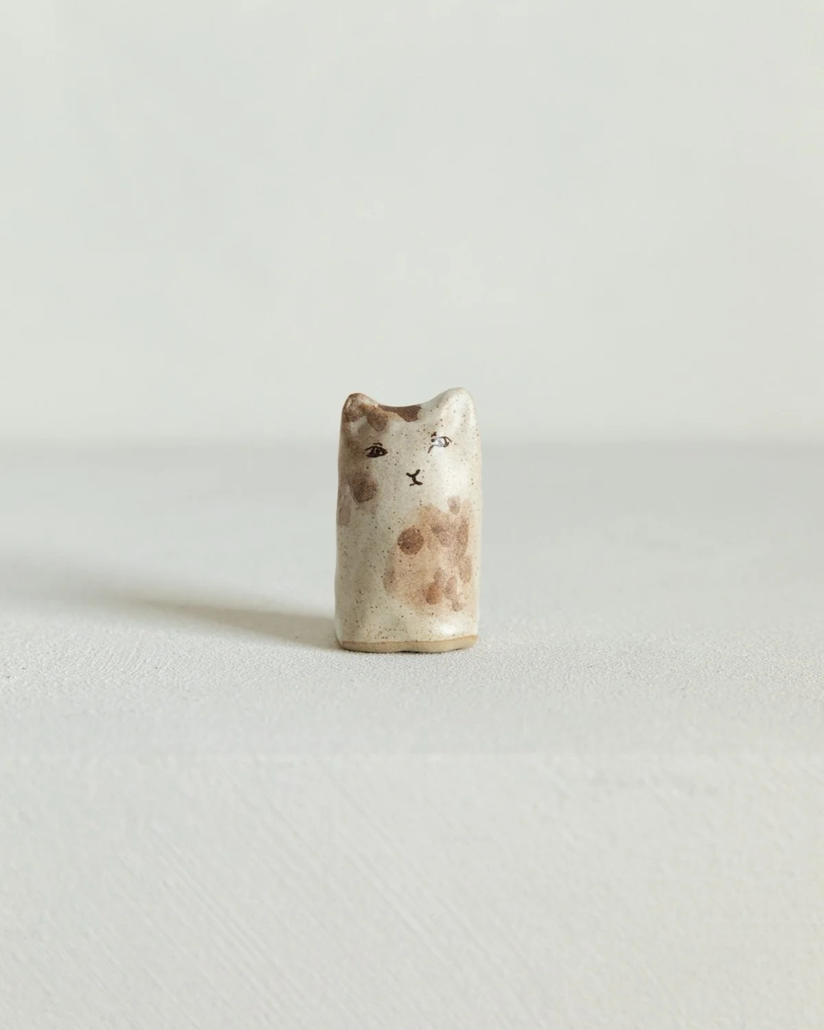 Cats by Charlotte Salt-26.jpg