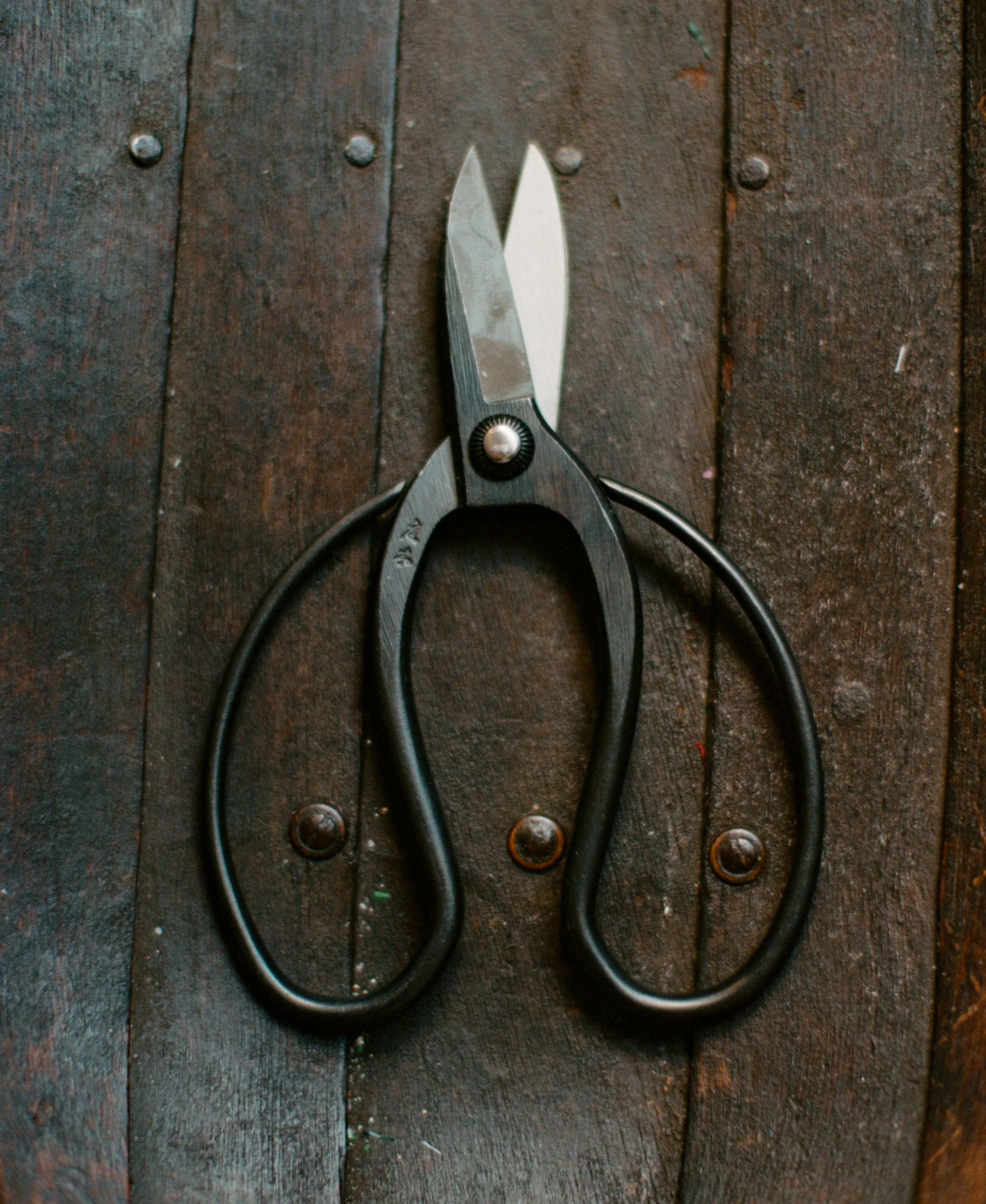 Niwaki Sentei Garden Scissors  - Uekibasami