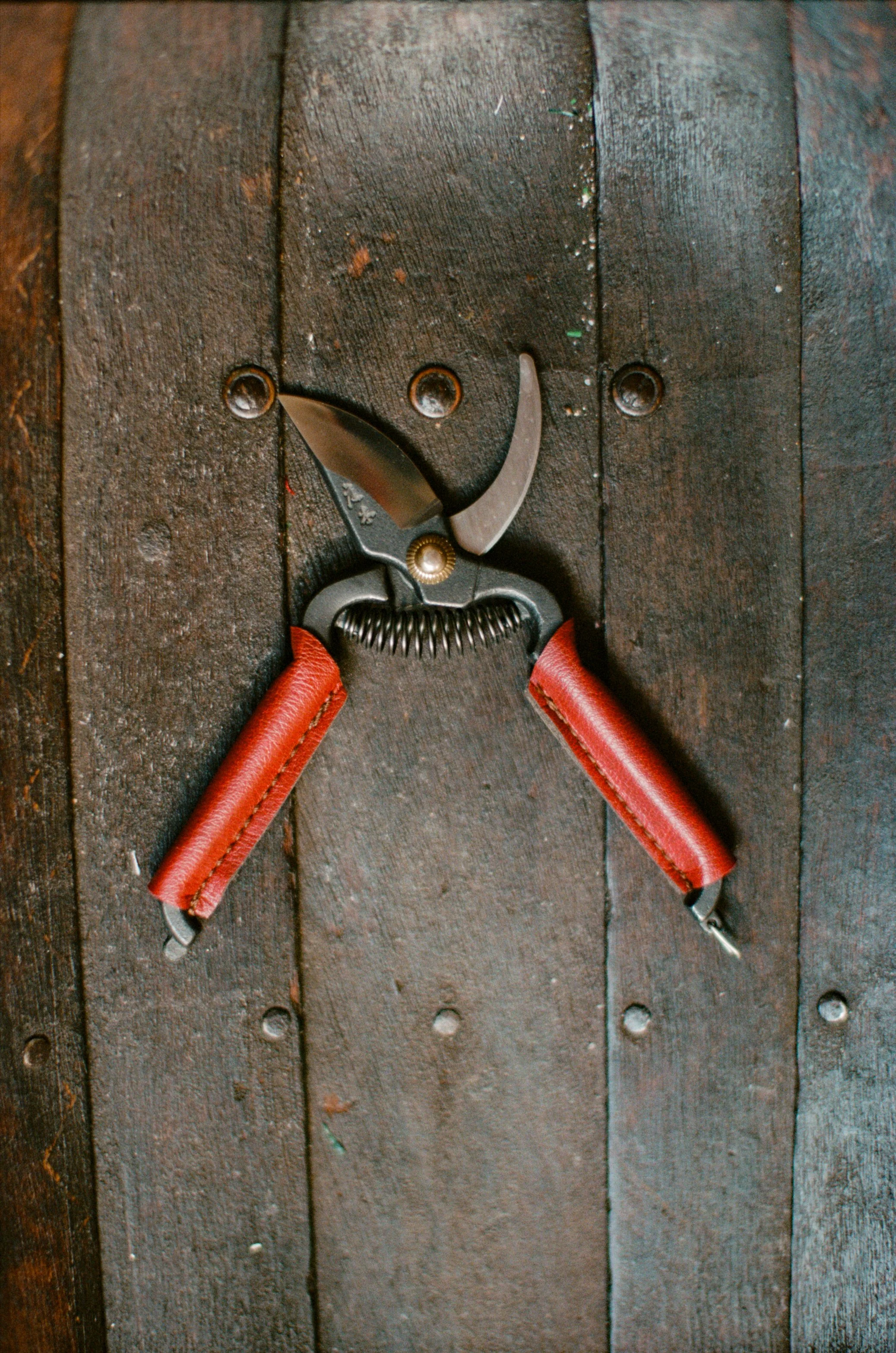 Niwaki Mini Secateurs – Japanese Pruners