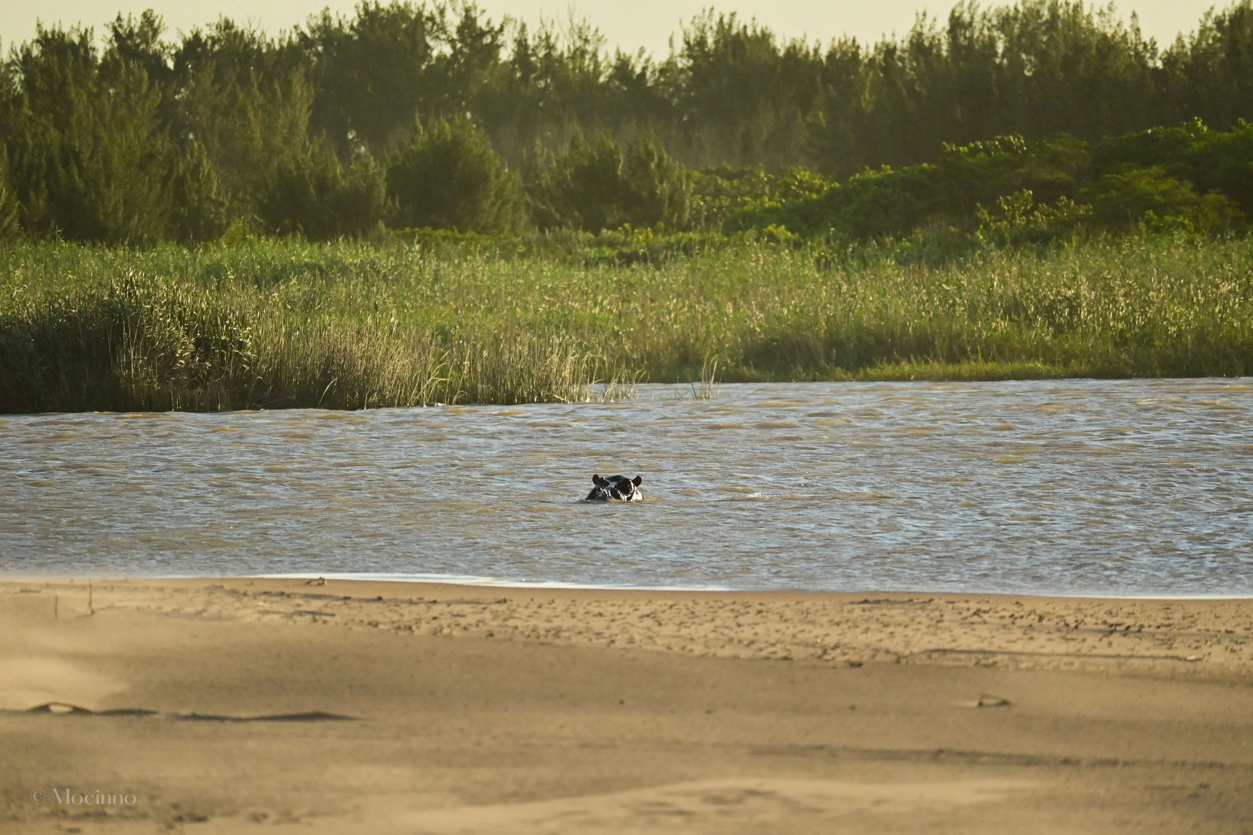 iSimangaliso Wetland Park