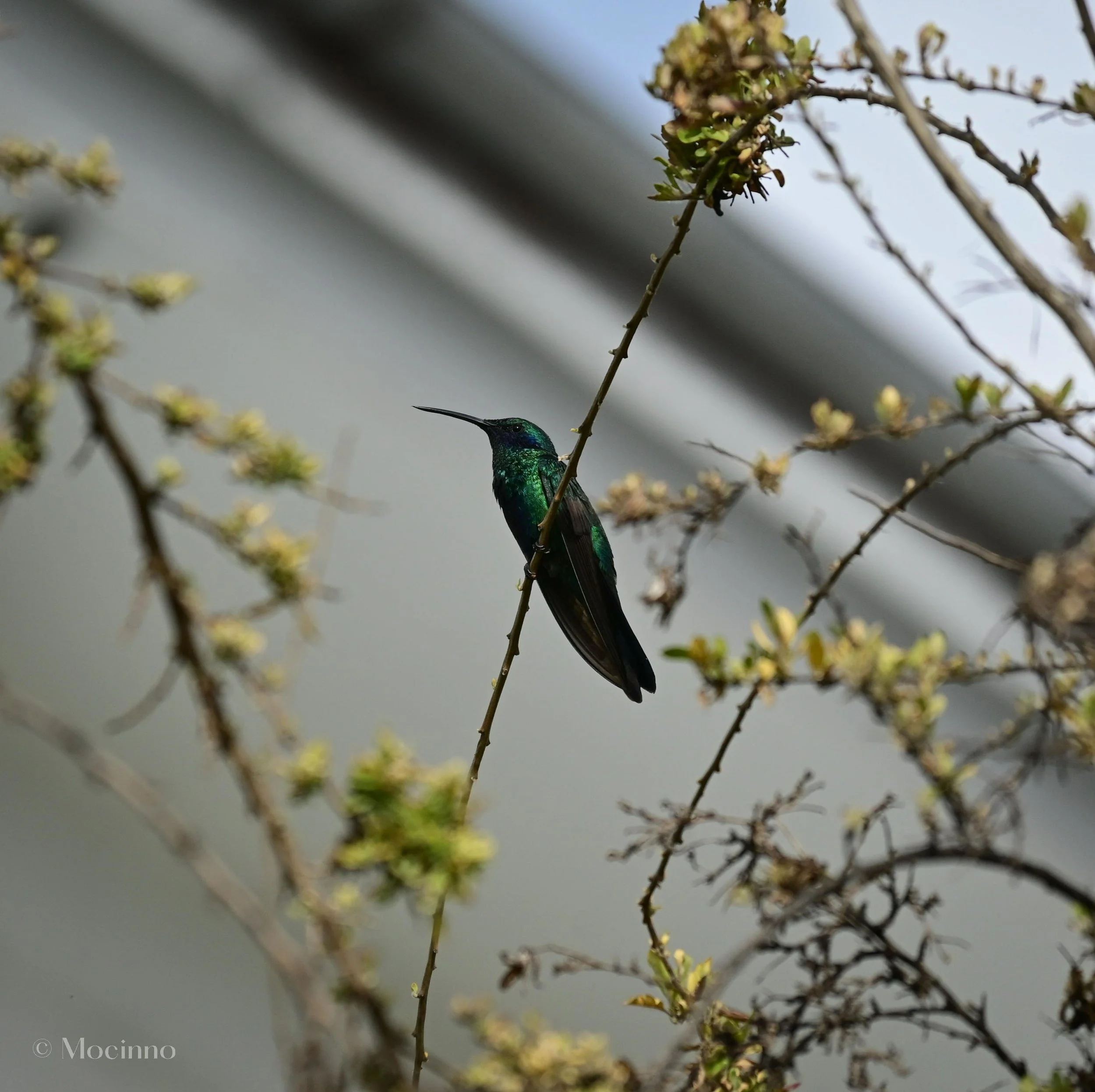 DSC_1137-2.jpg
