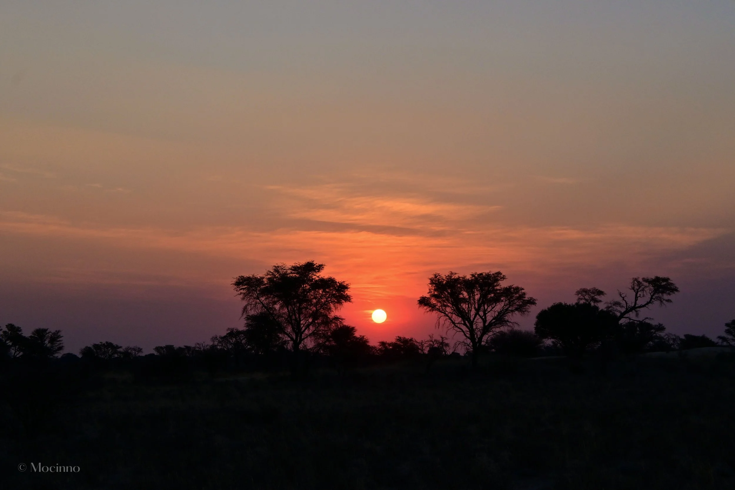 DSC_1200.jpg