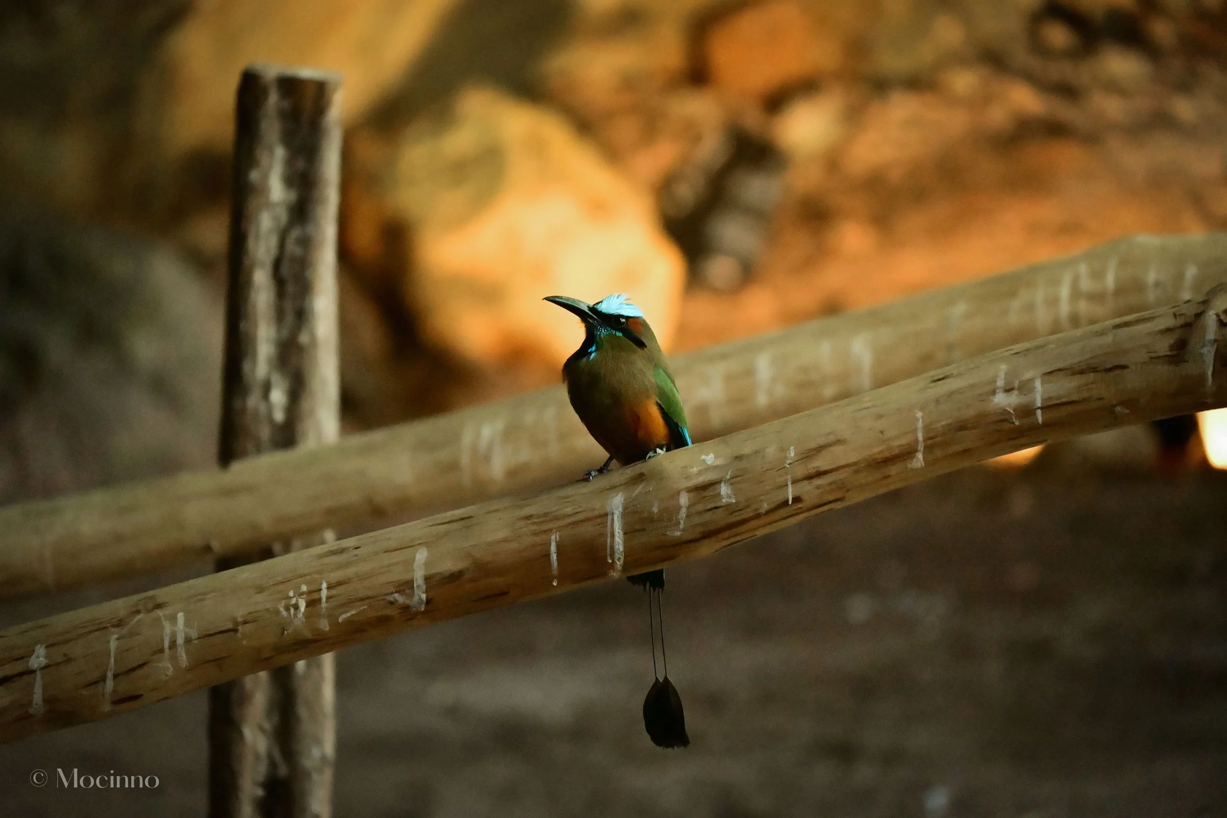 DSC_1438.jpg
