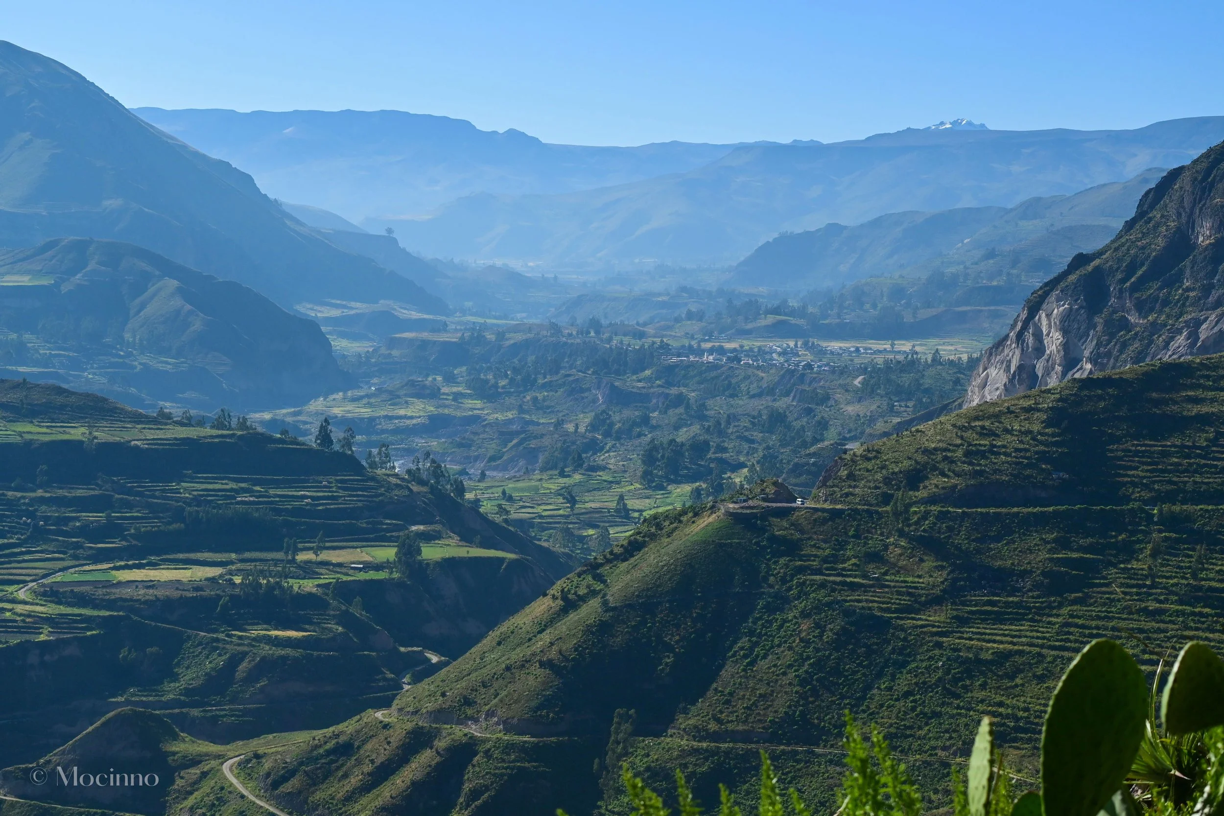 Cañón del Colca