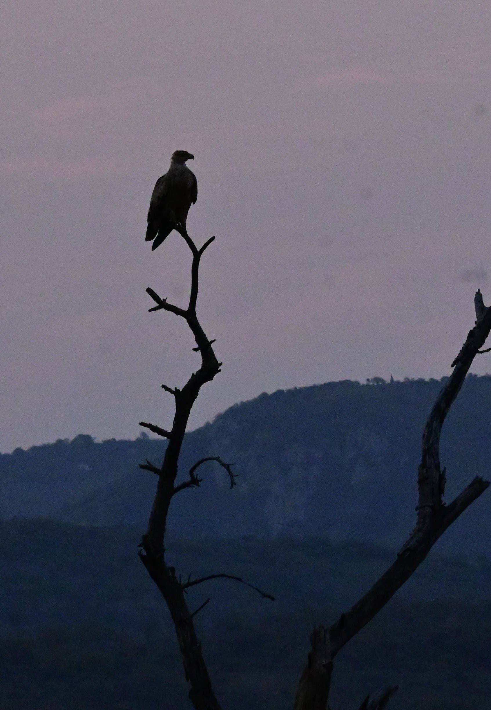iSimangaliso Wetland Park