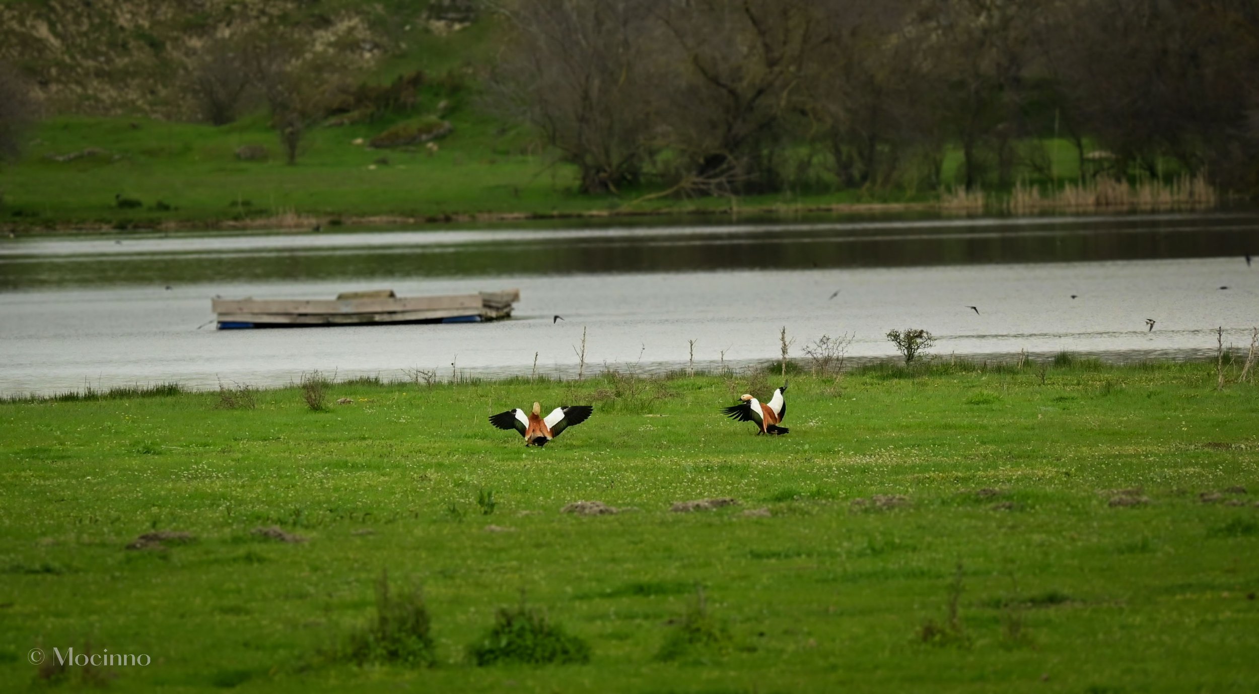 DSC_2190-2.jpg