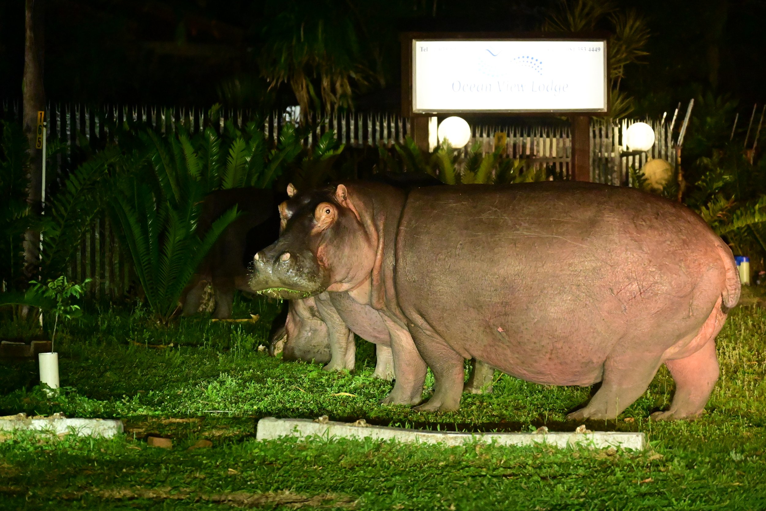 St Lucia, iSimangaliso Wetland Park