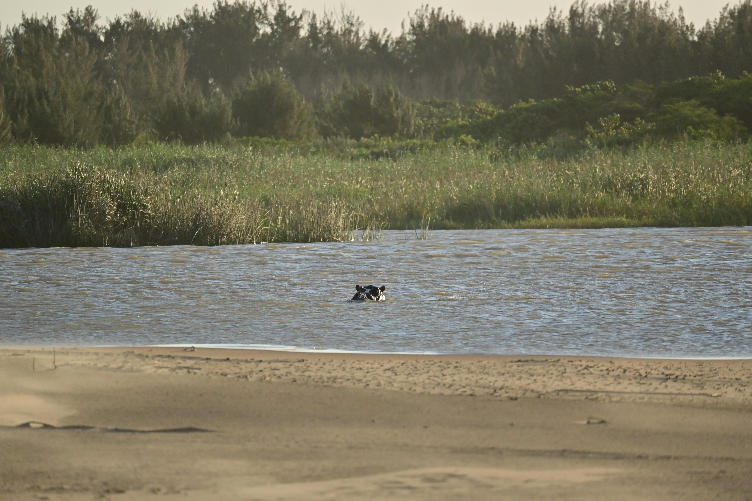 iSimangaliso Wetland Park