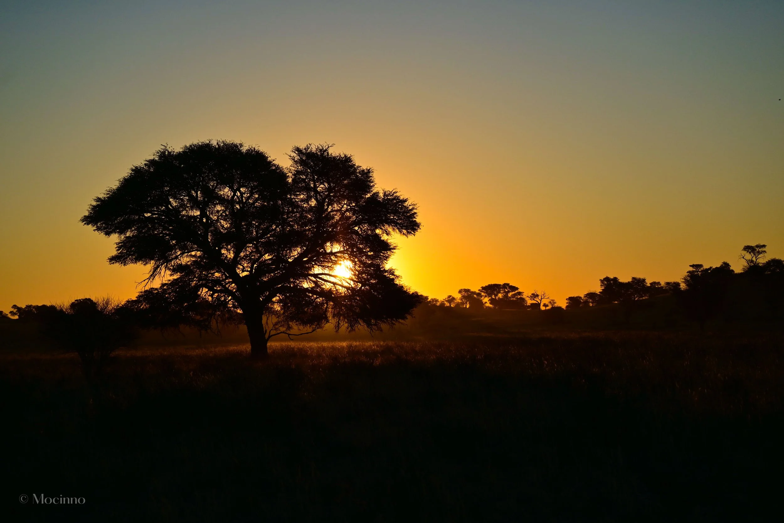 DSC_1155.jpg