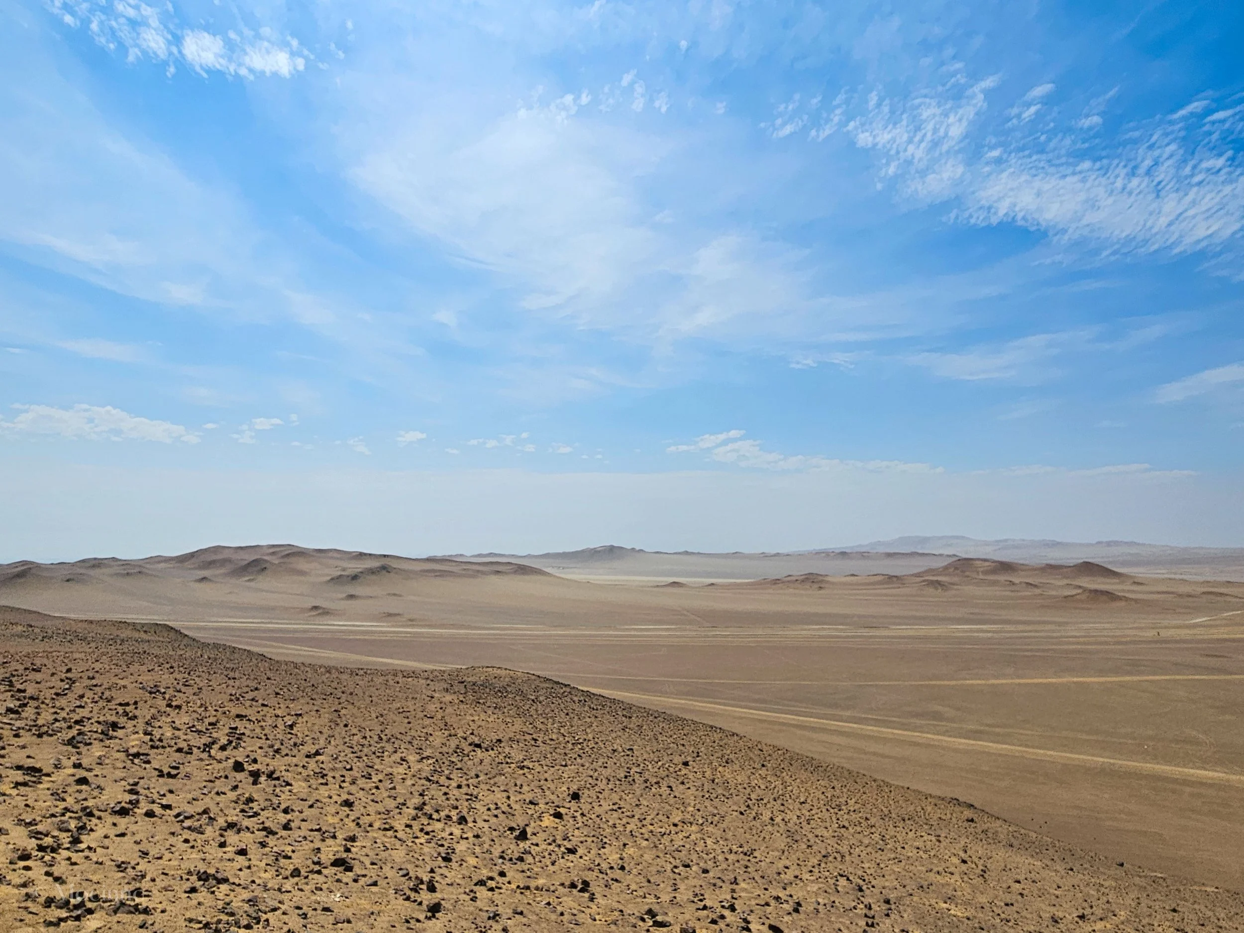 Coastal Desert