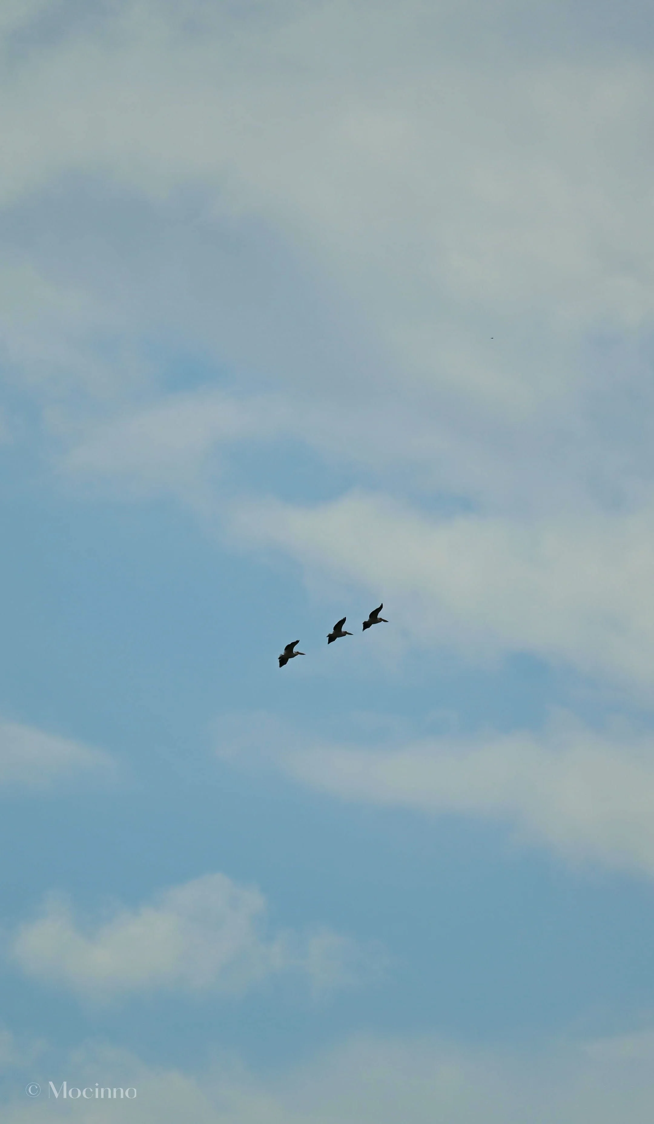 DSC_2268-2.jpg