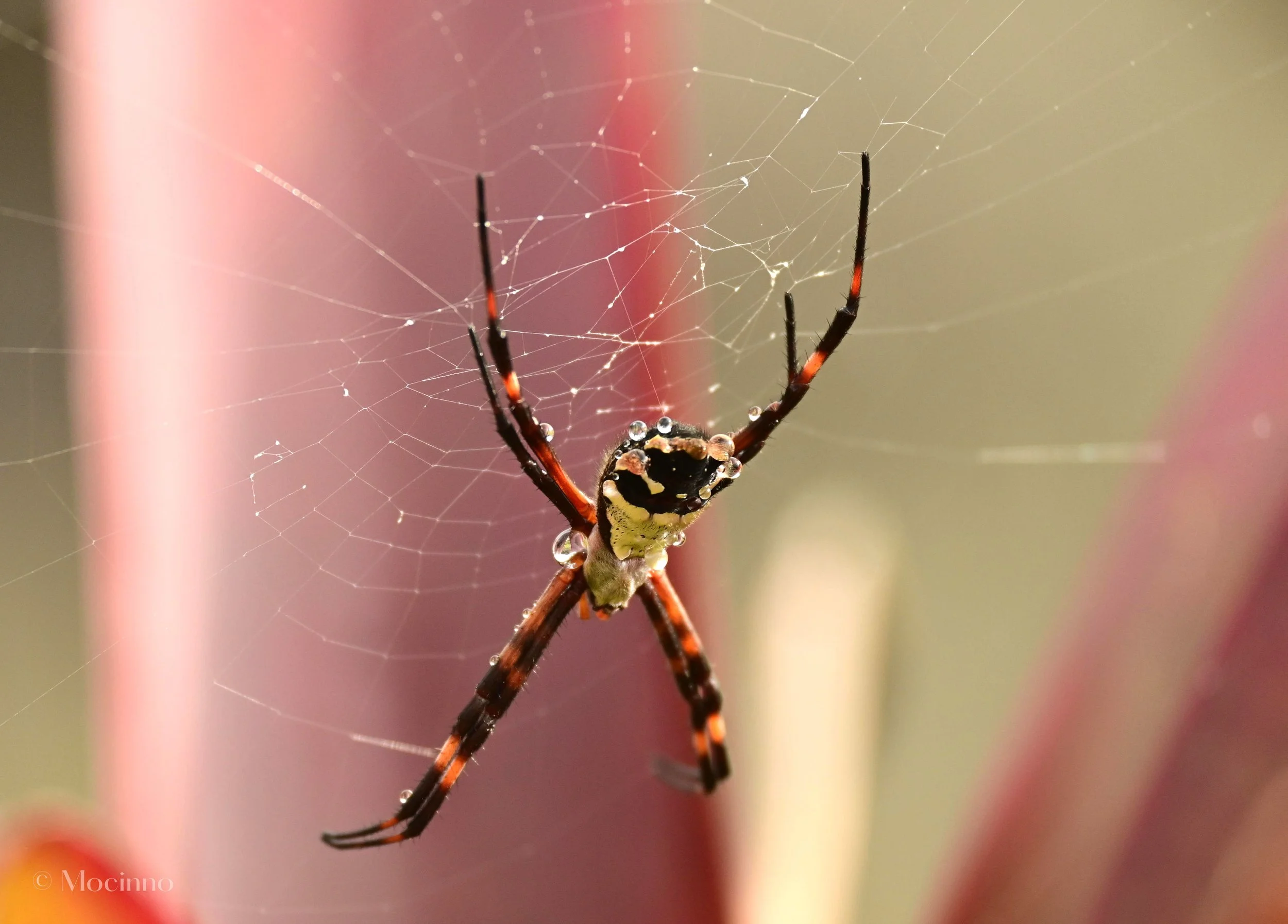 DSC_13211.jpg