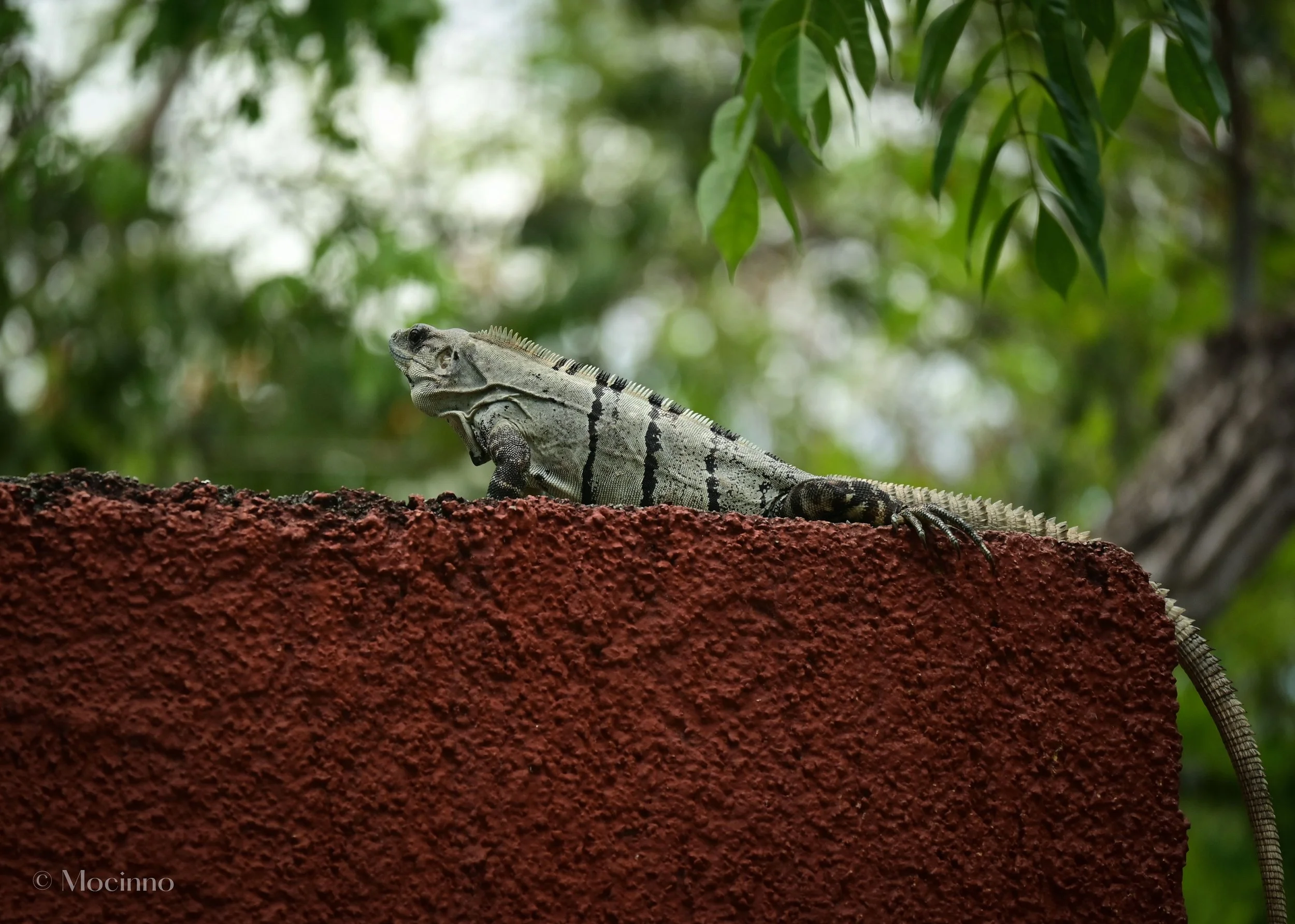 DSC_1383.jpg