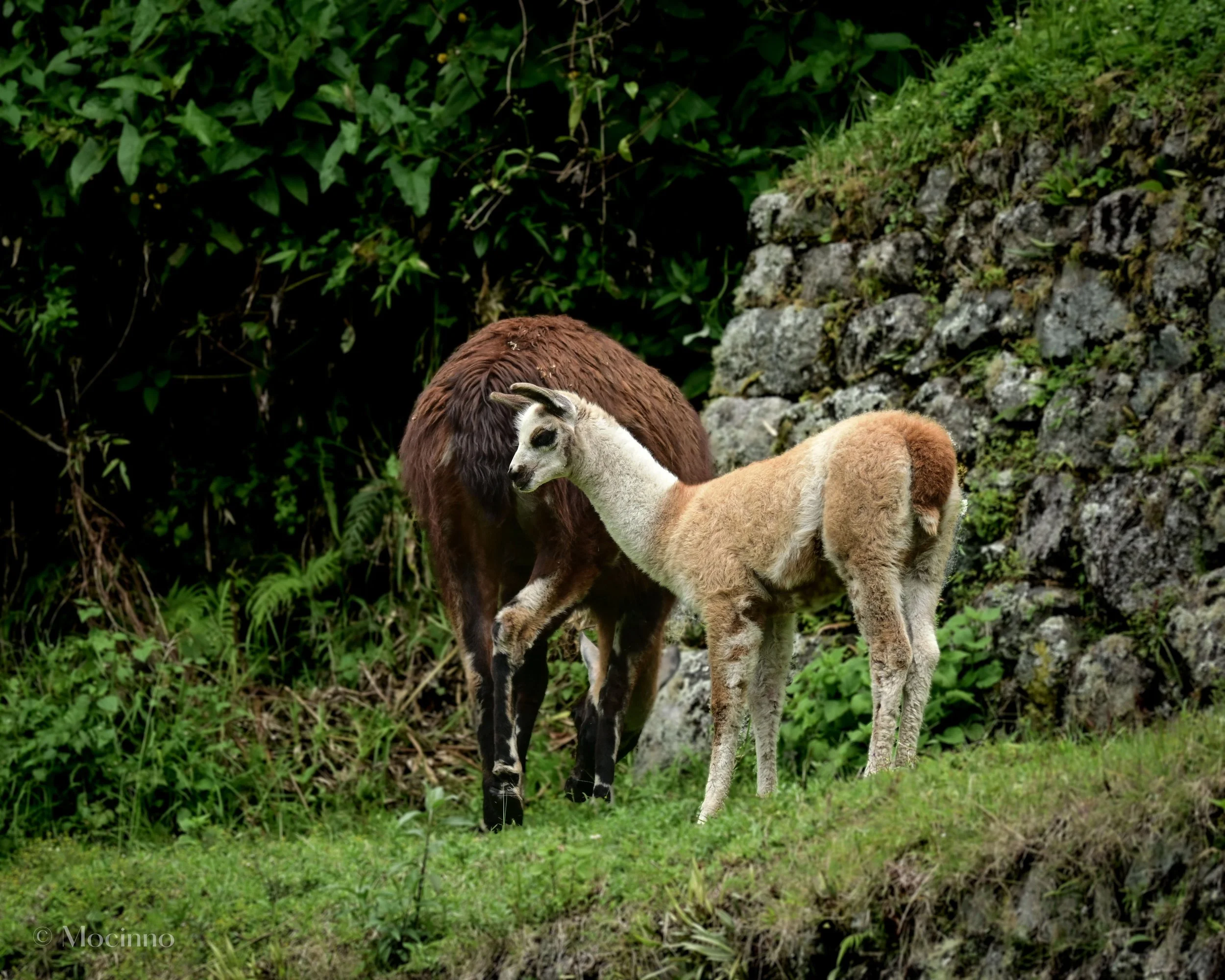 DSC_1189-2.jpg
