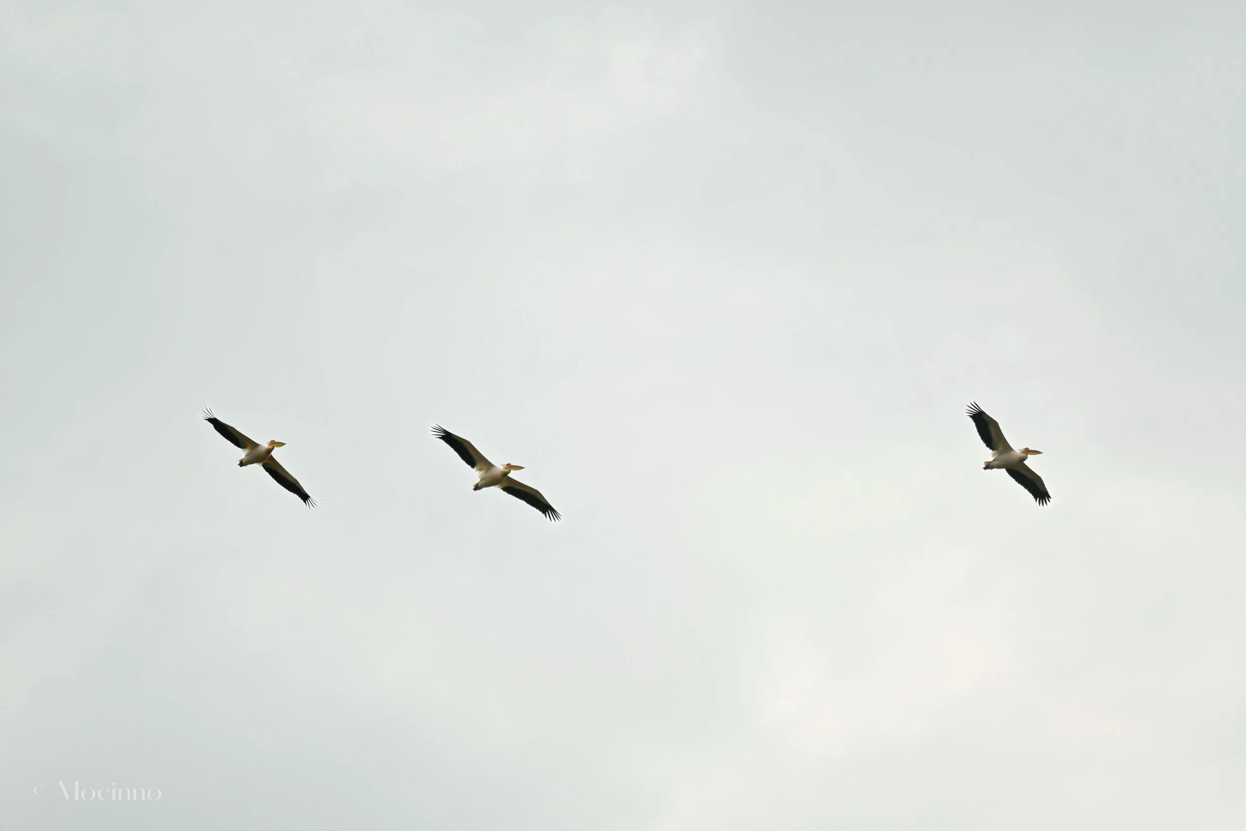 DSC_2252.jpg