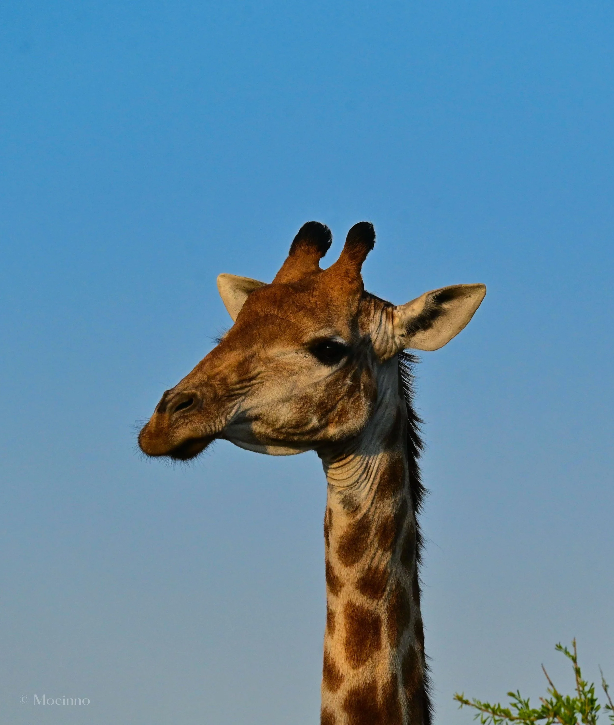 iSimangaliso Wetland Park
