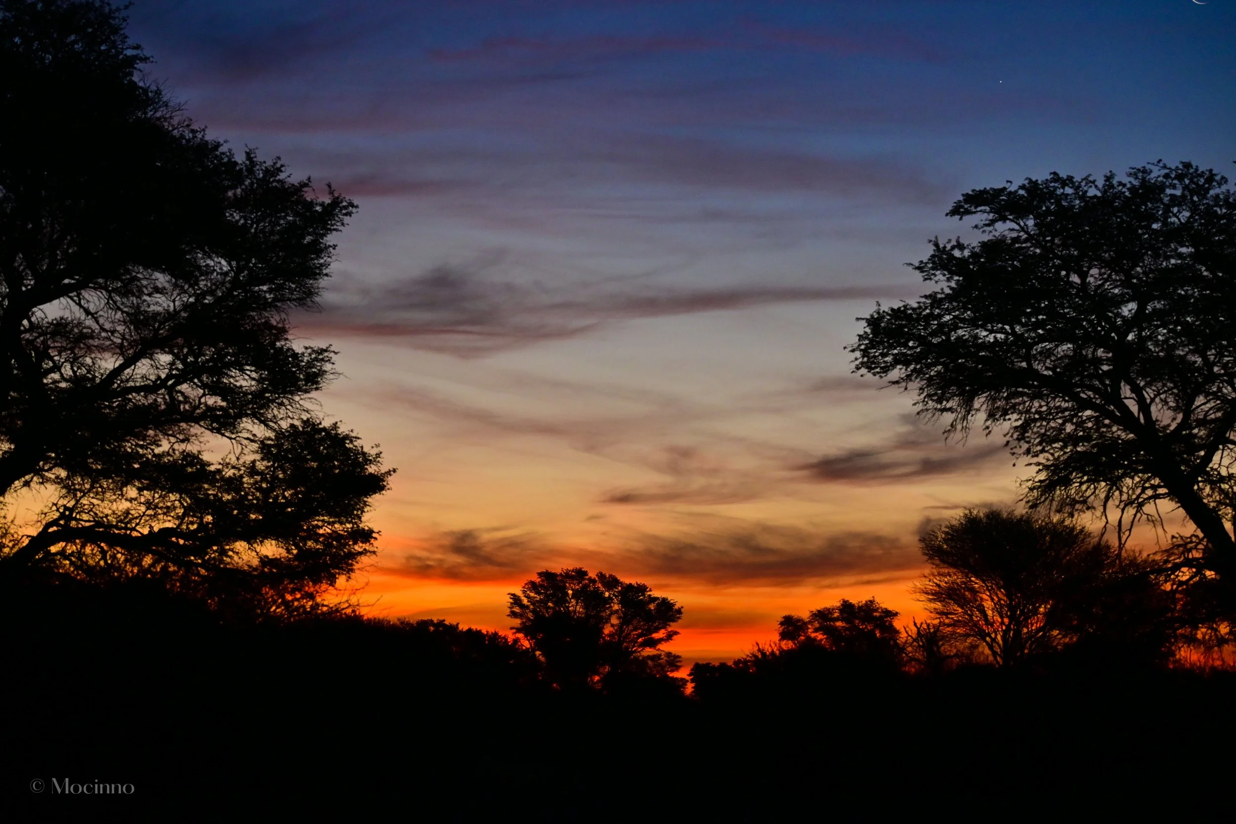 DSC_1042-2.jpg