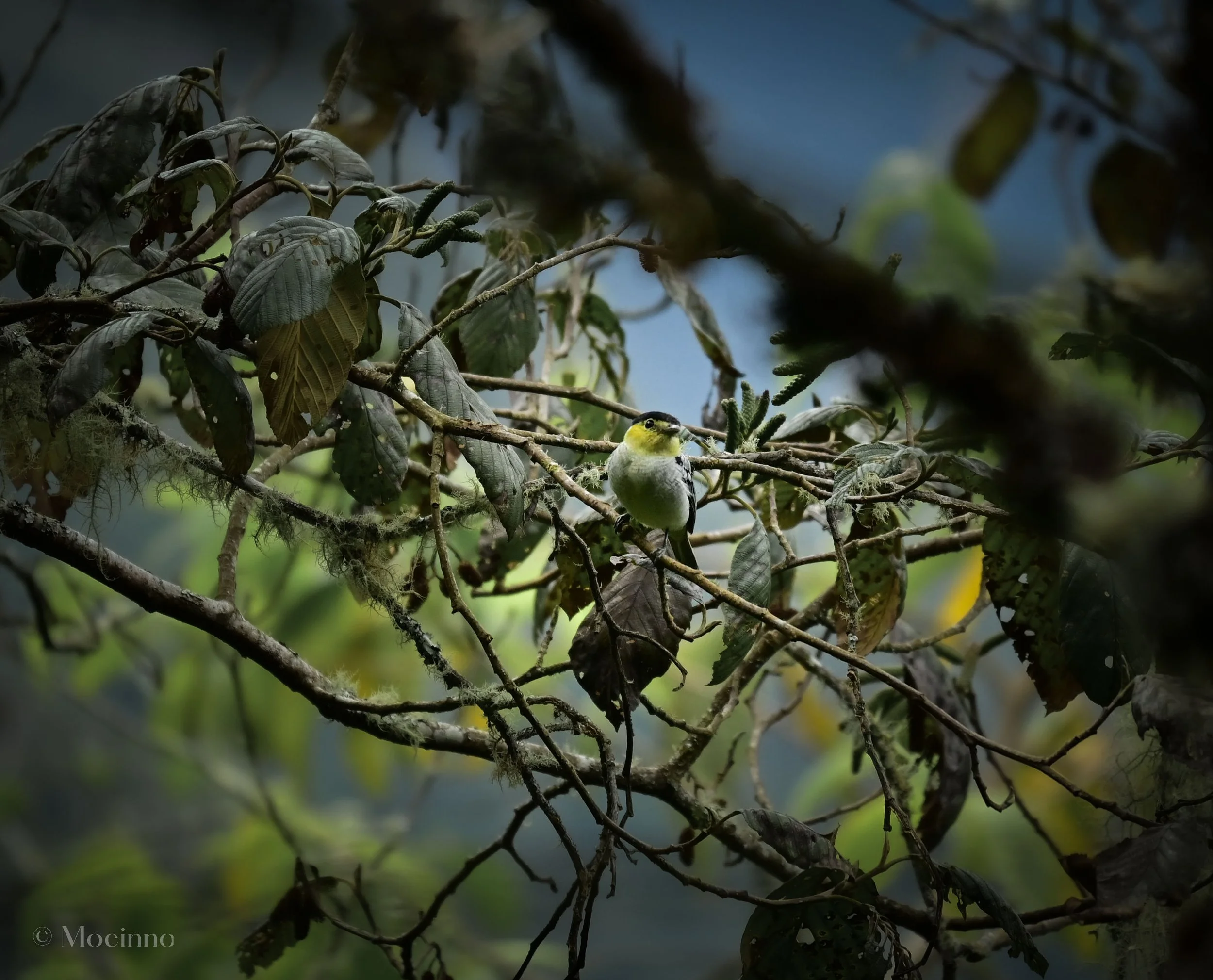 DSC_1209-2.jpg