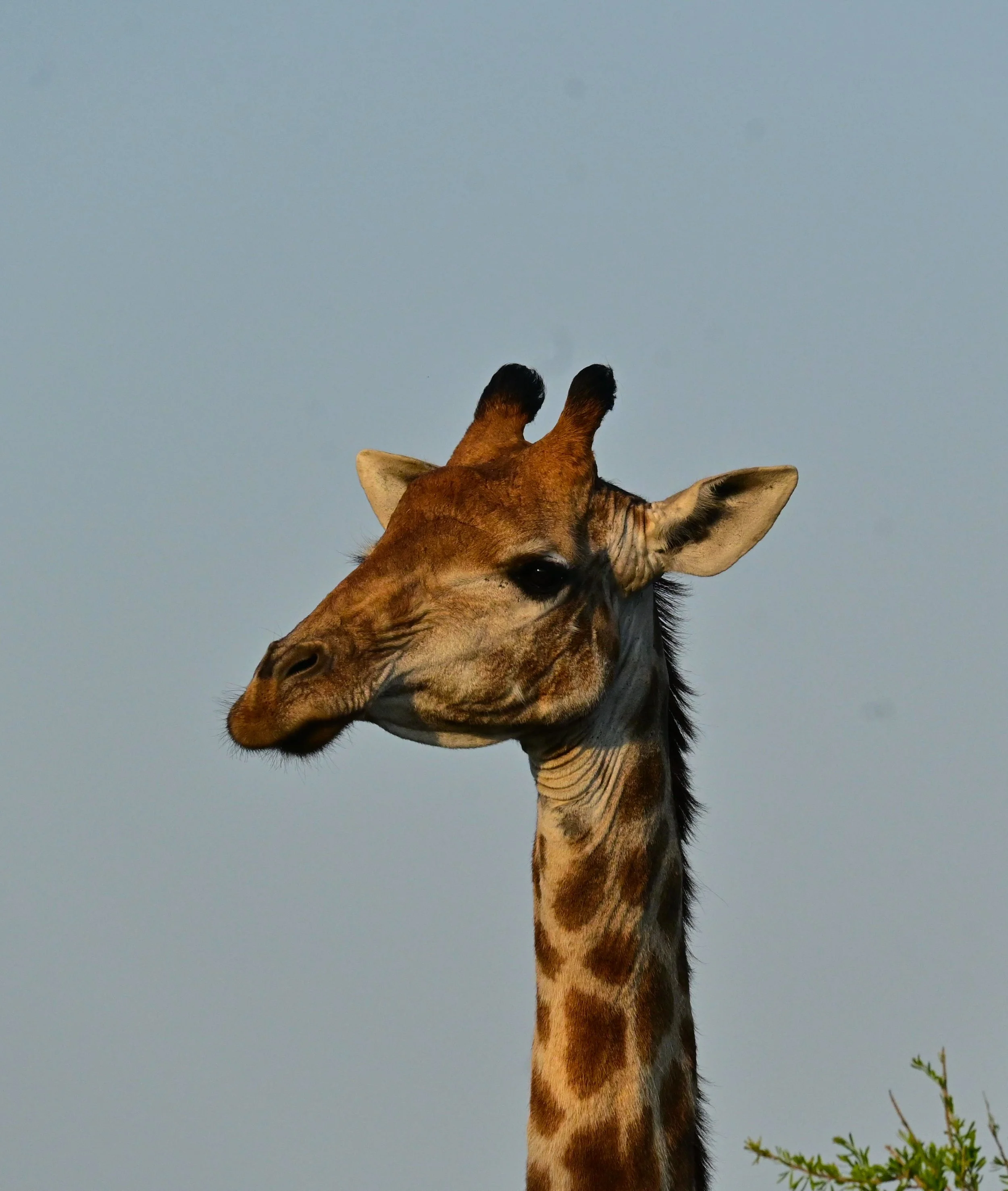 iSimangaliso Wetland Park