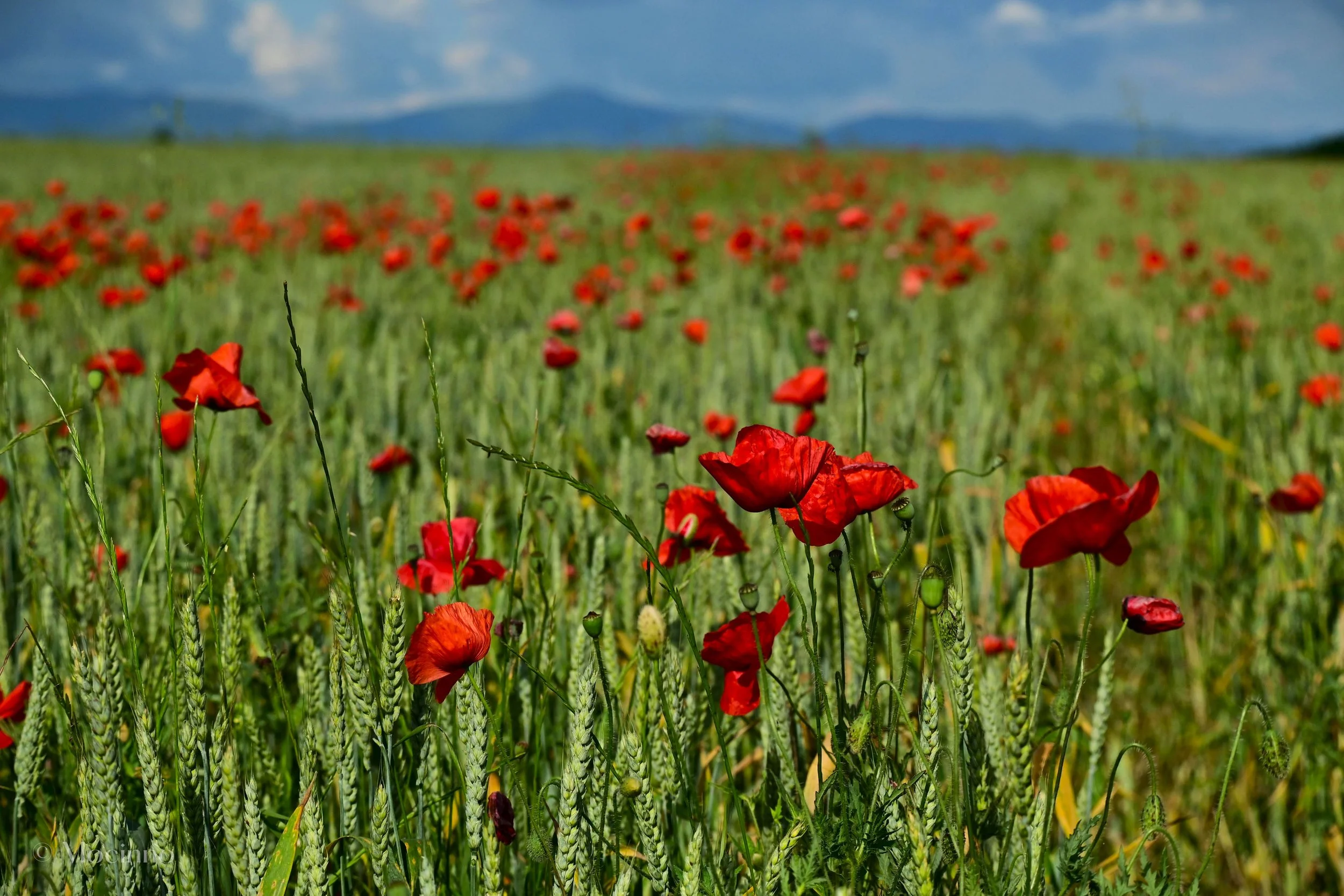 Karlovo, Bulgaria