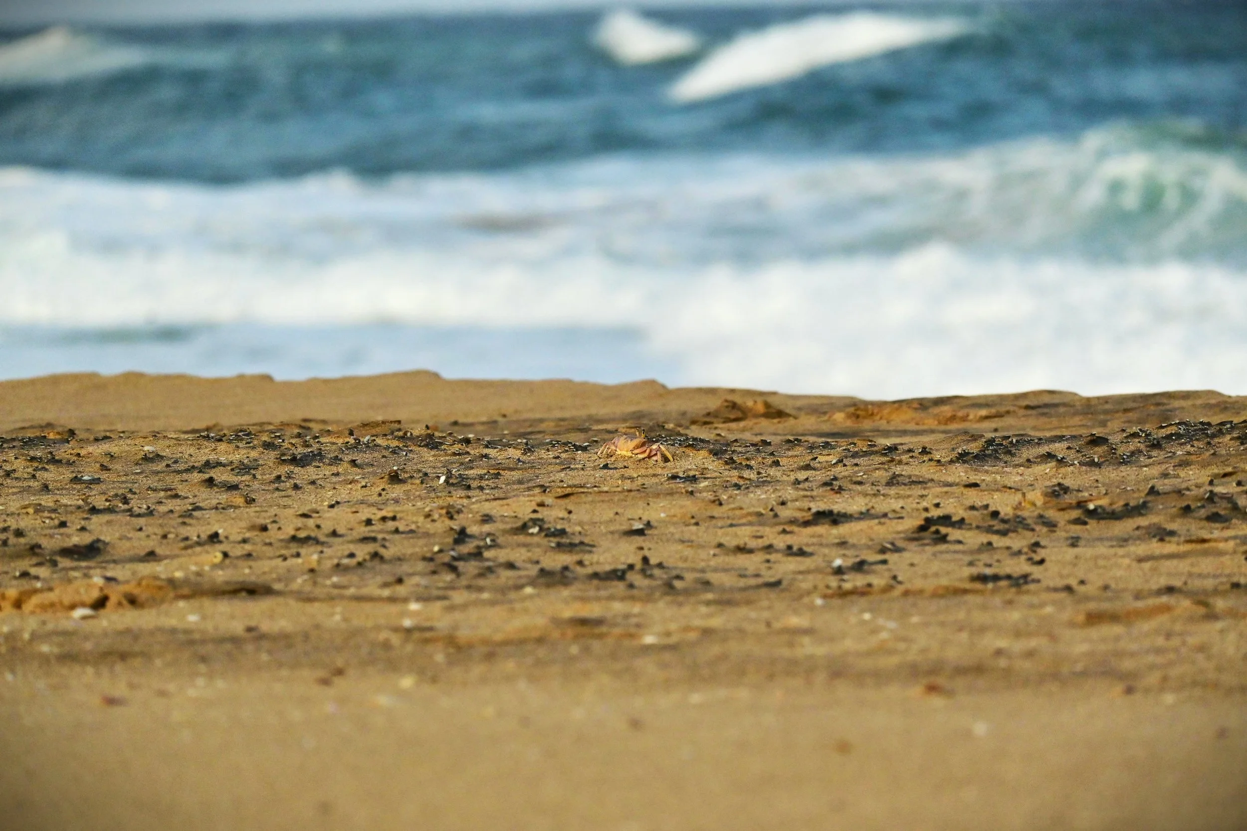iSimangaliso Wetland Park