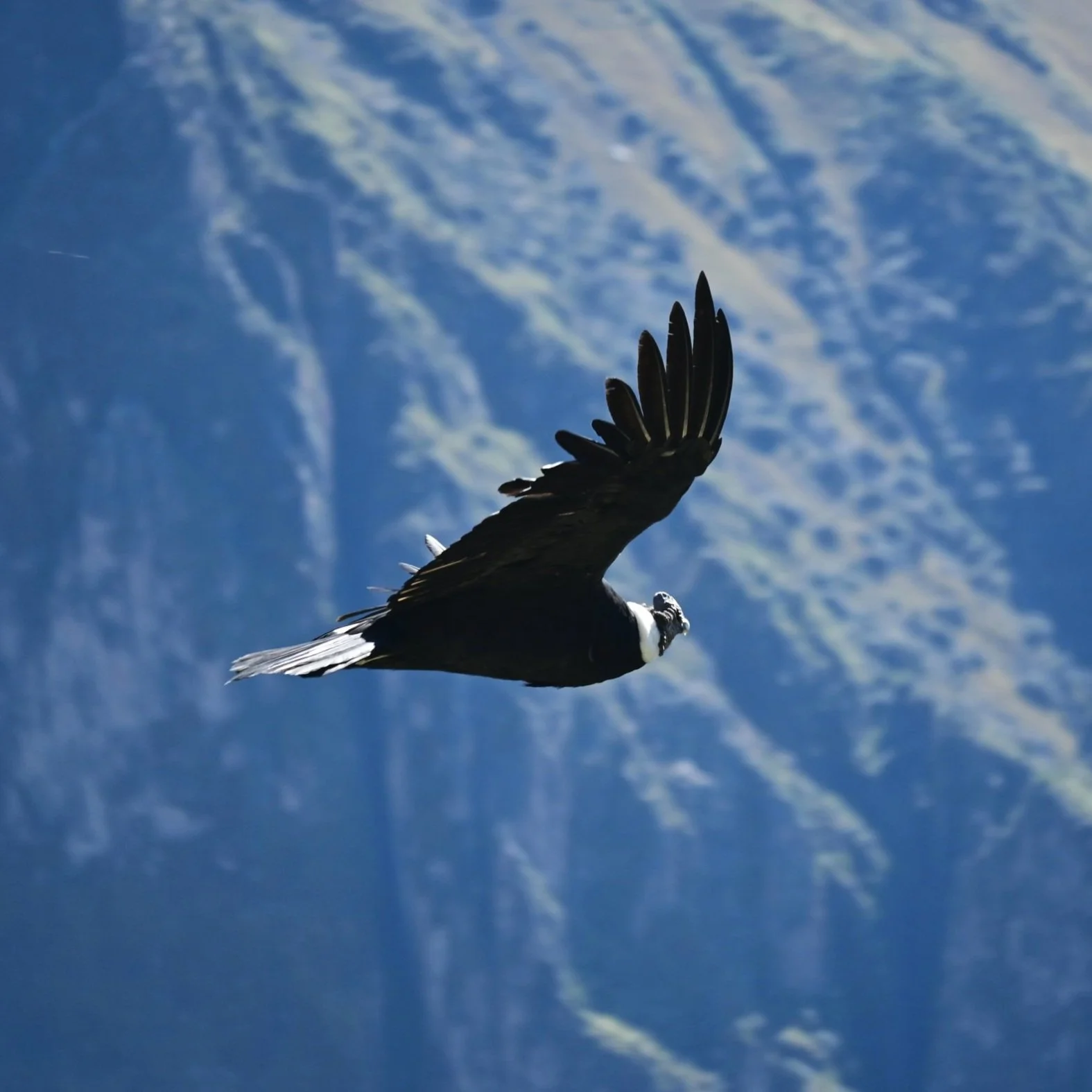 South and Central America