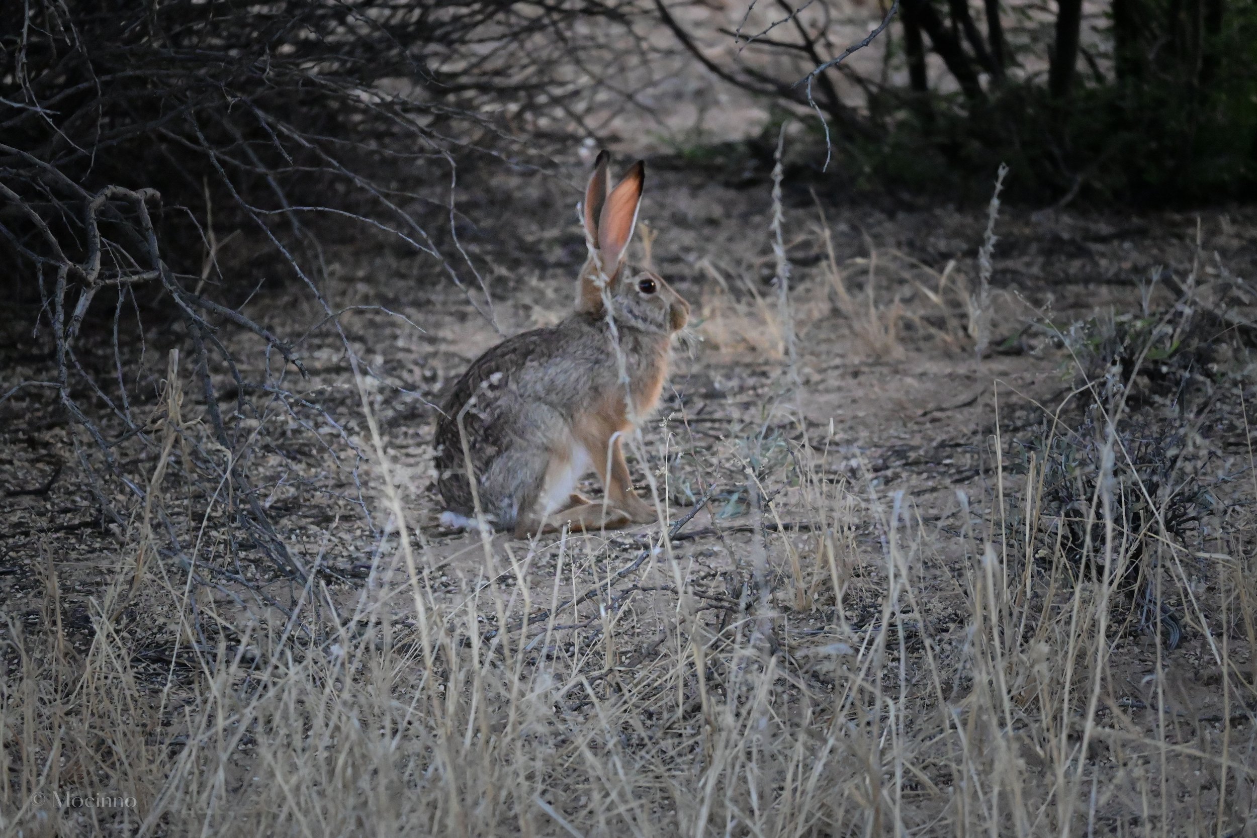 DSC_0999.jpg