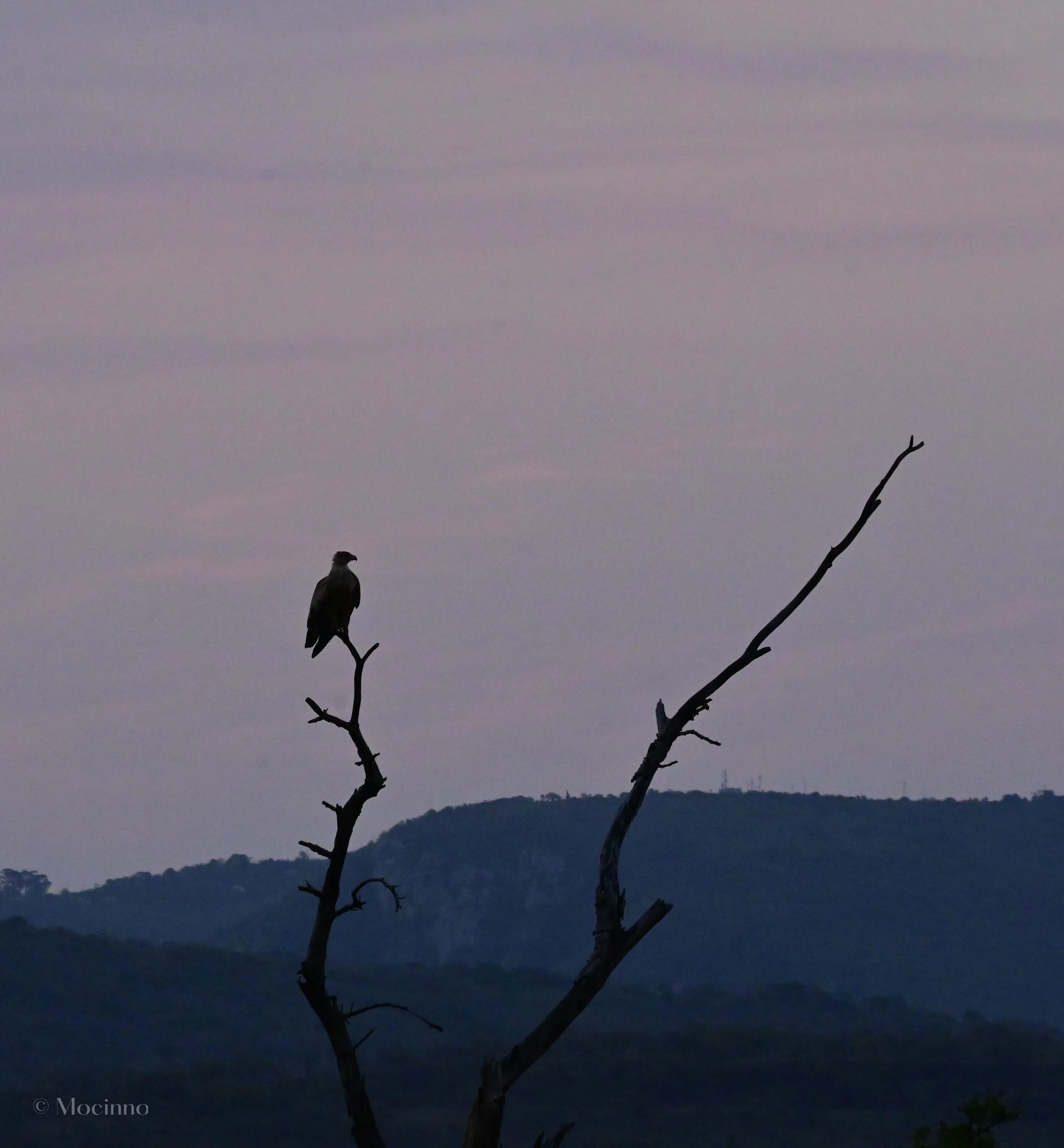iSimangaliso Wetland Park
