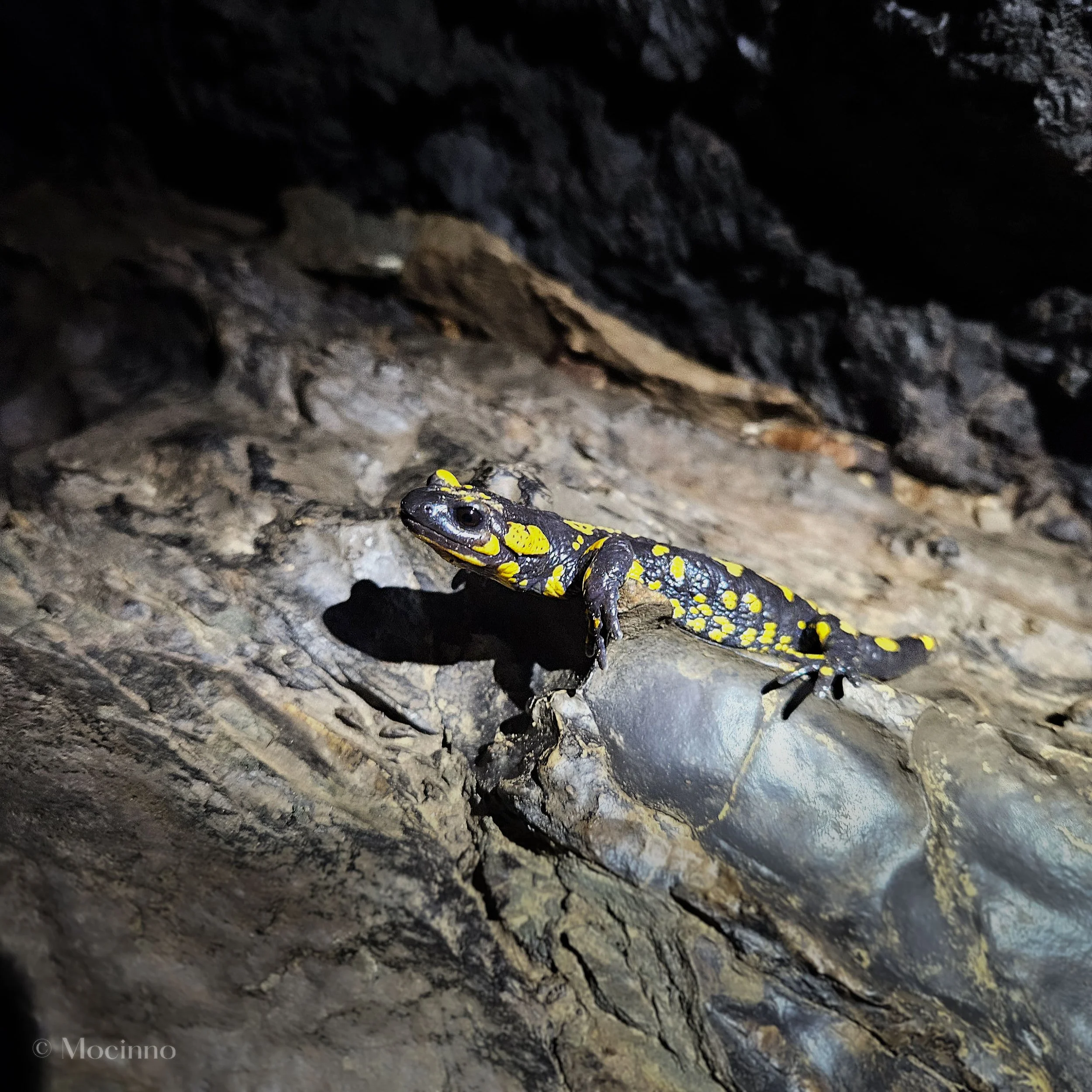 Caving