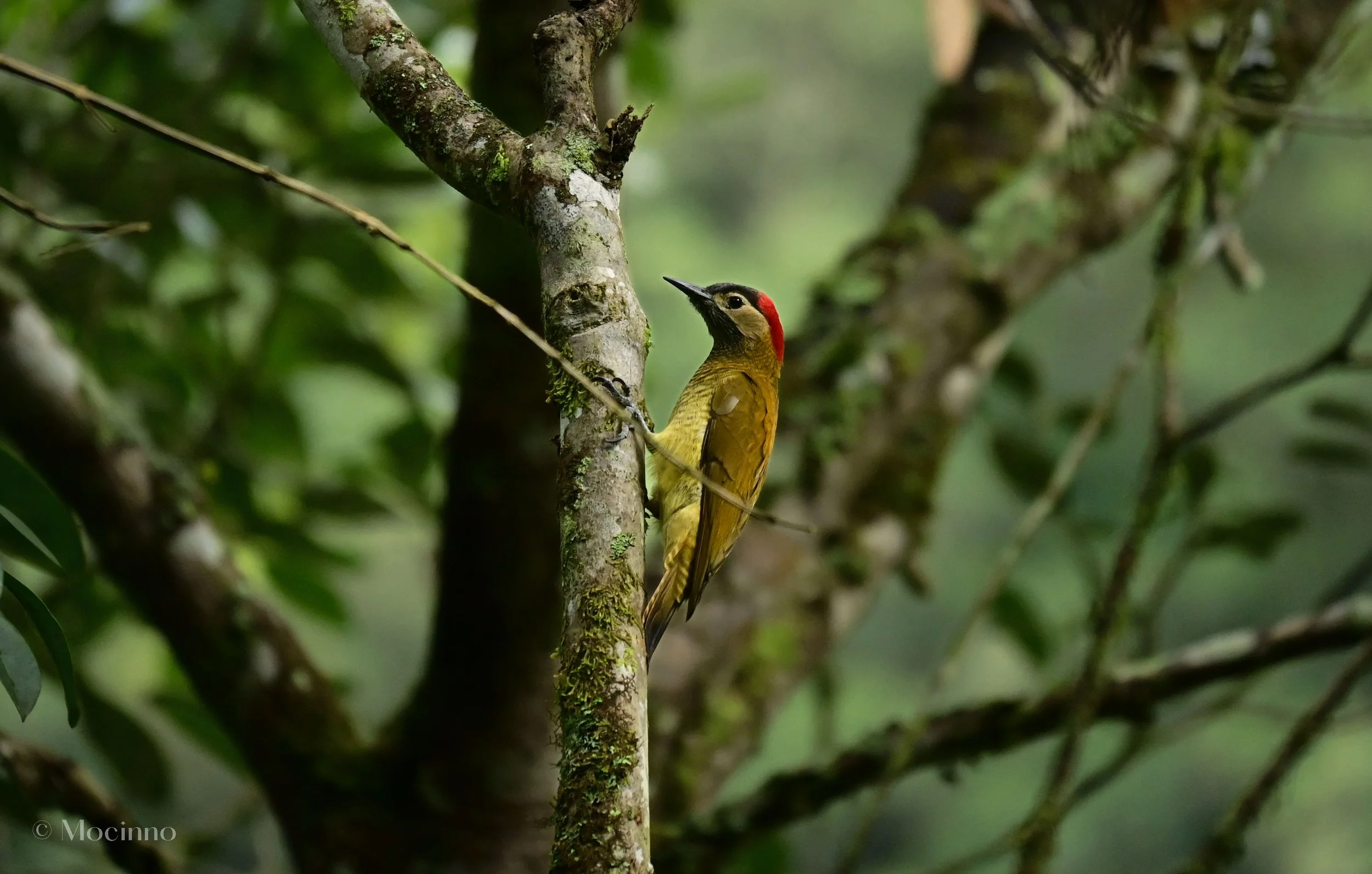 DSC_1155.jpg