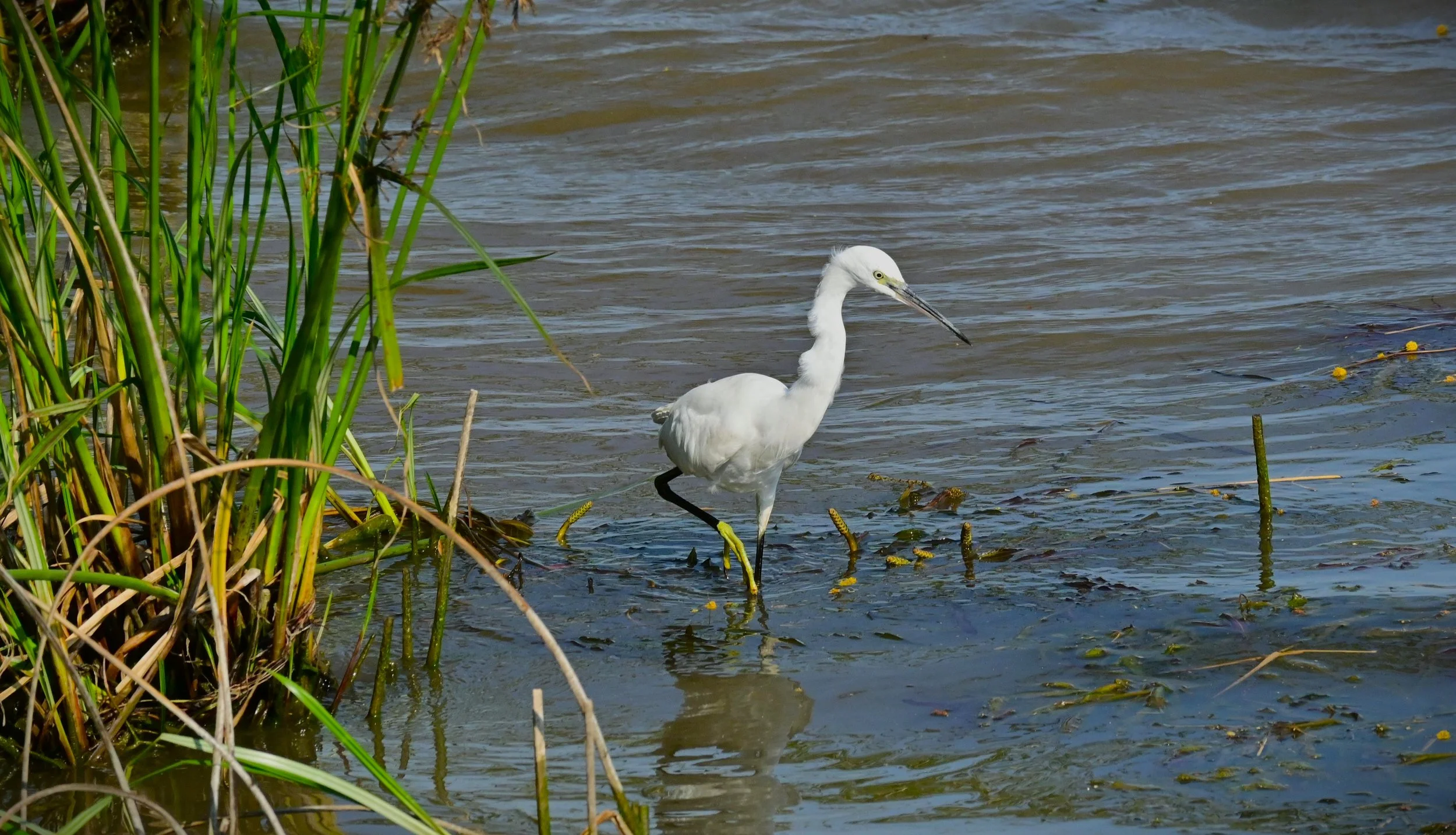 iSimangaliso Wetland Park