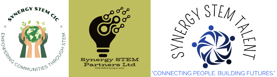 Synergy STEM Partners 