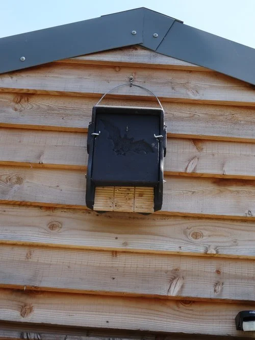 Bat box on the old farm shop extension