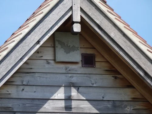 One of the bat boxes on the house (next to a roof space ventilator) 