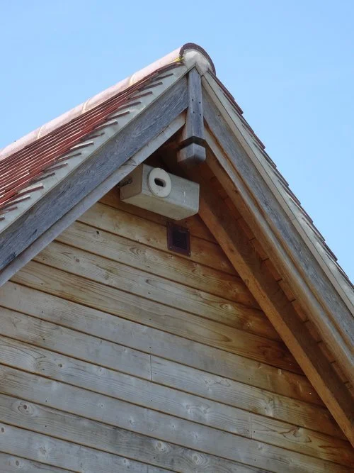 One of the bird boxes on the house