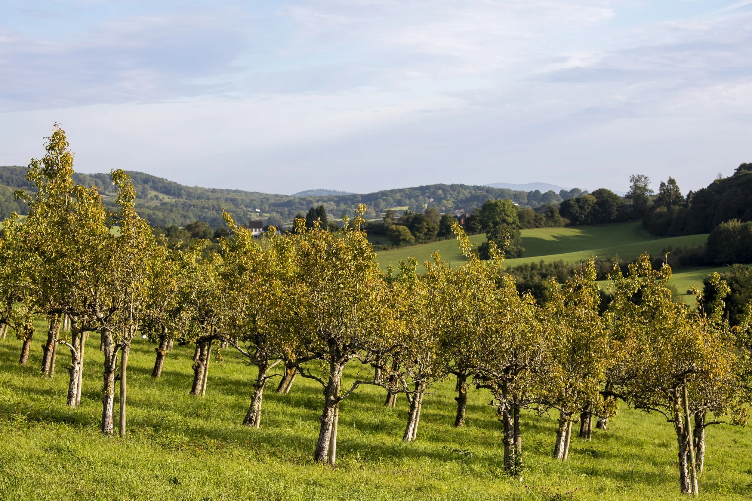 Energy costs - what impact this has on the environment