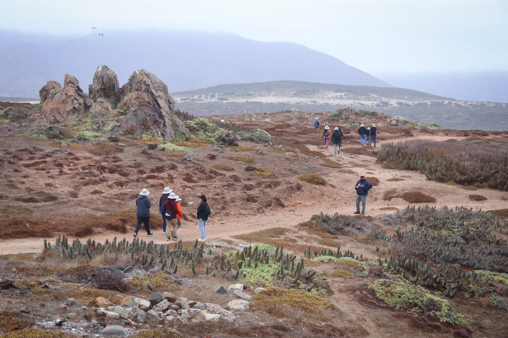 Foto MLP - Safari fotográfico (1).JPG