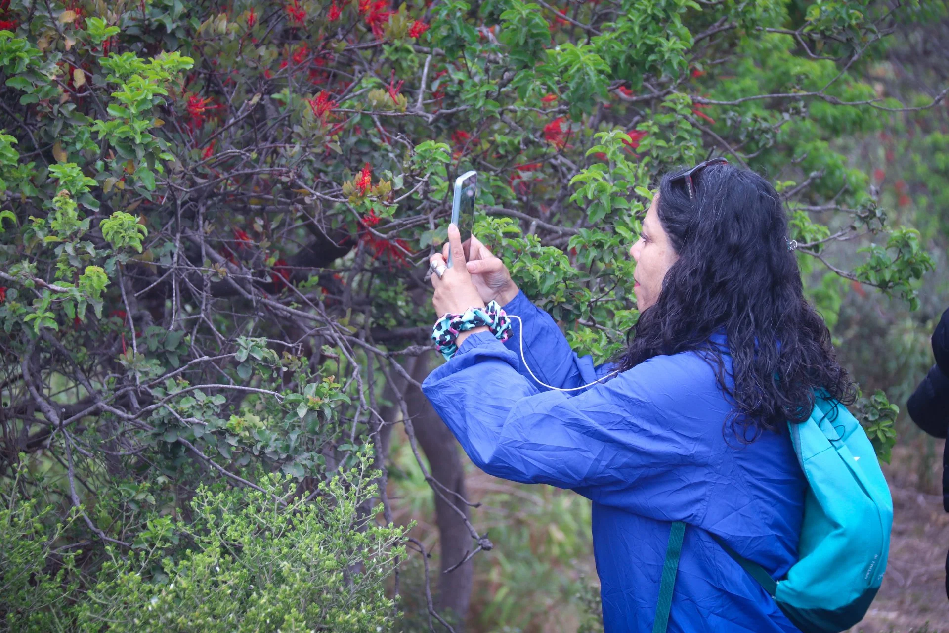 Foto MLP - Safari fotográfico (4).JPG