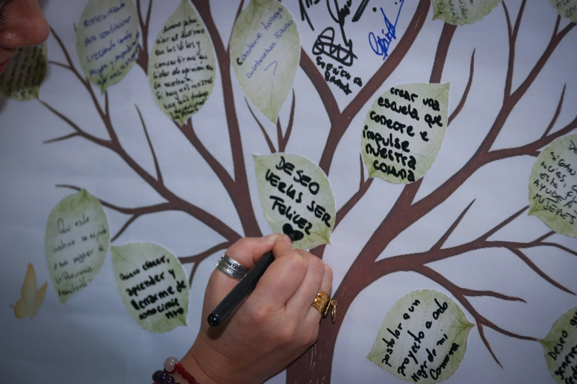 Foto MLP - Lanzamiento Escuela Mujer Sustentable (6).JPG
