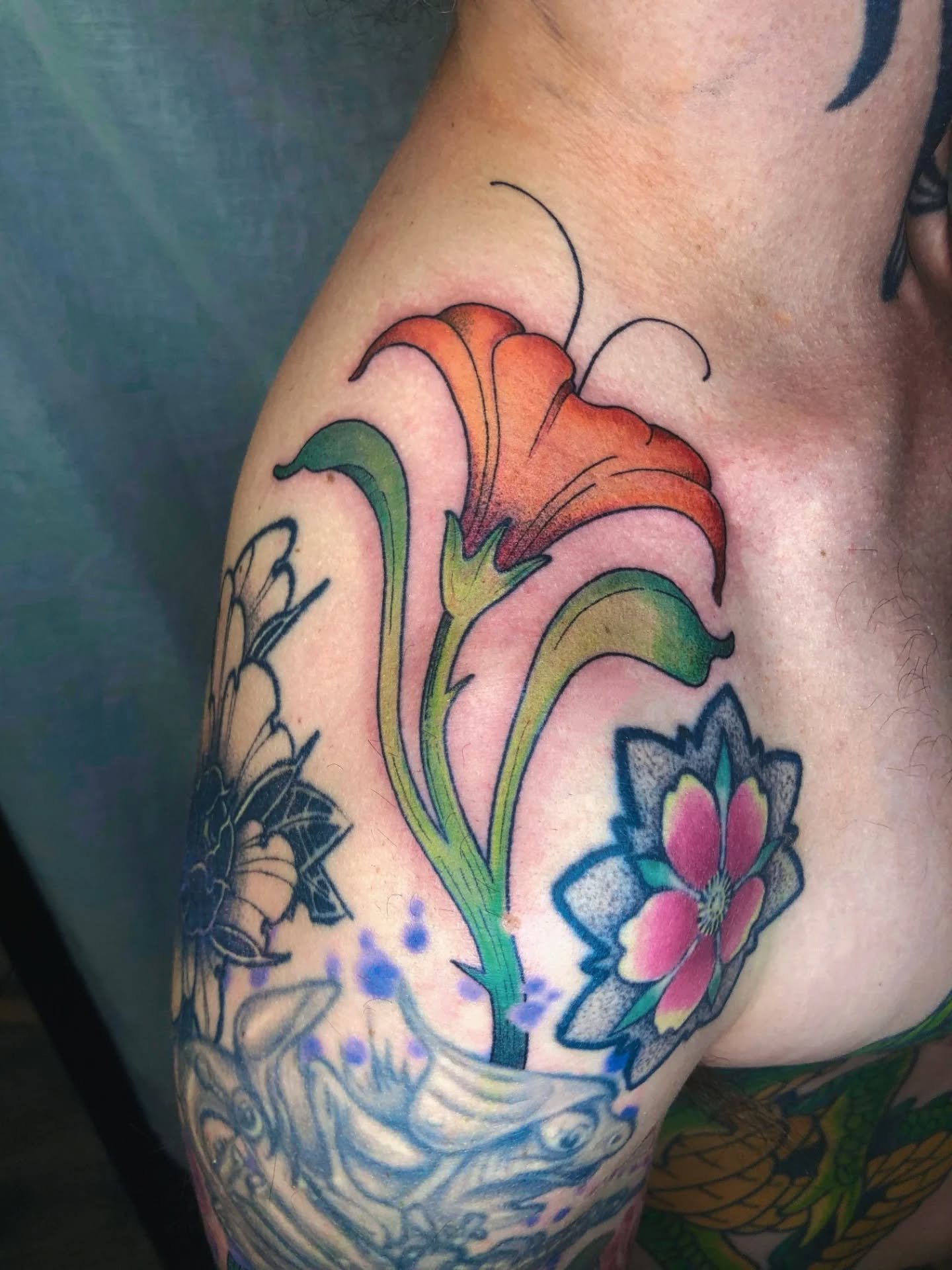 ✷ Petit tattoo en couleur que j&rsquo;ai r&eacute;alis&eacute; sur @ju_tattoo_everything pour compl&eacute;ter son bras fleuri. Merci pour ta confiance ✷

1 &agrave; 2 &ndash; lignes cicatris&eacute;es, mais couleurs fra&icirc;chement pos&eacute;es
3