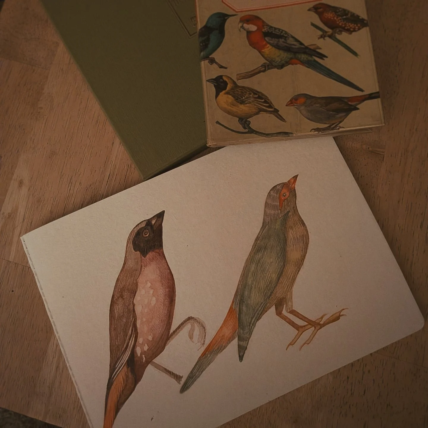 ✷ Petite photo de mes derniers dessins ✷ 
Un m&eacute;lange d'aquarelle et de crayons de couleur. 

Ces derniers mois, j'ai &eacute;t&eacute; tellement la t&ecirc;te dans le tatouage que j'en ai oubli&eacute; de me poser pour dessiner sur papier.

Je