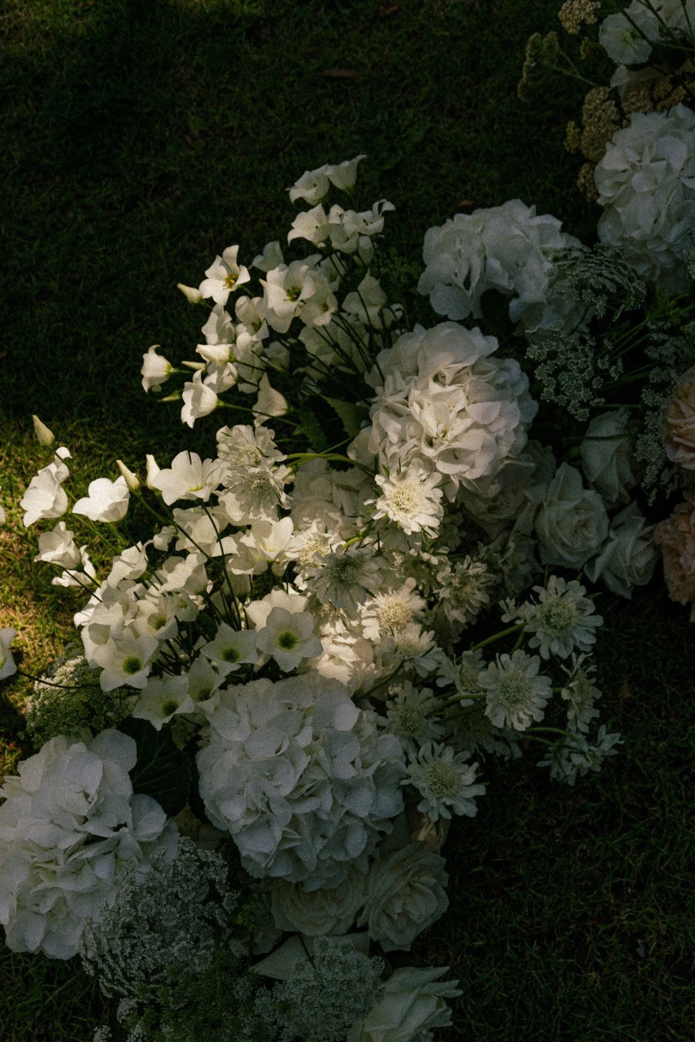 Blumen in weiss und grün stehen am Boden im Sonnenlicht.